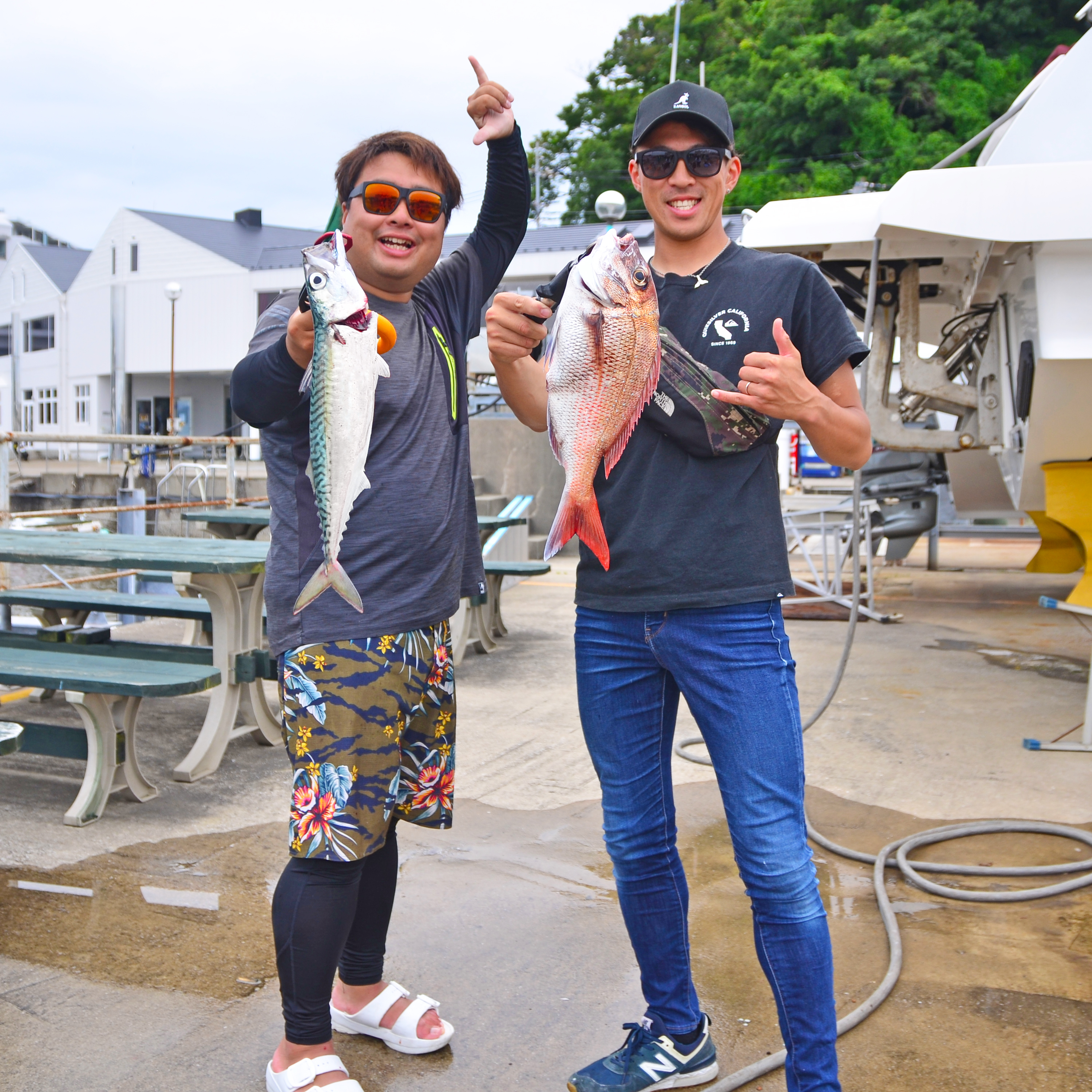 ✿マダイ・サバ✿