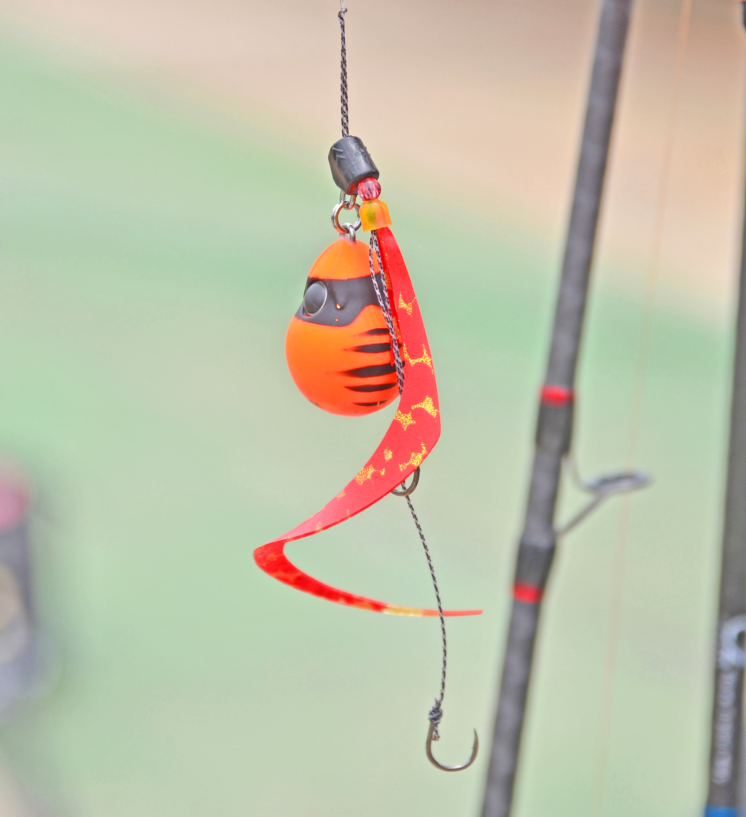 ✿アジ・マダイ・サバ・イシモチ(シログチ)✿