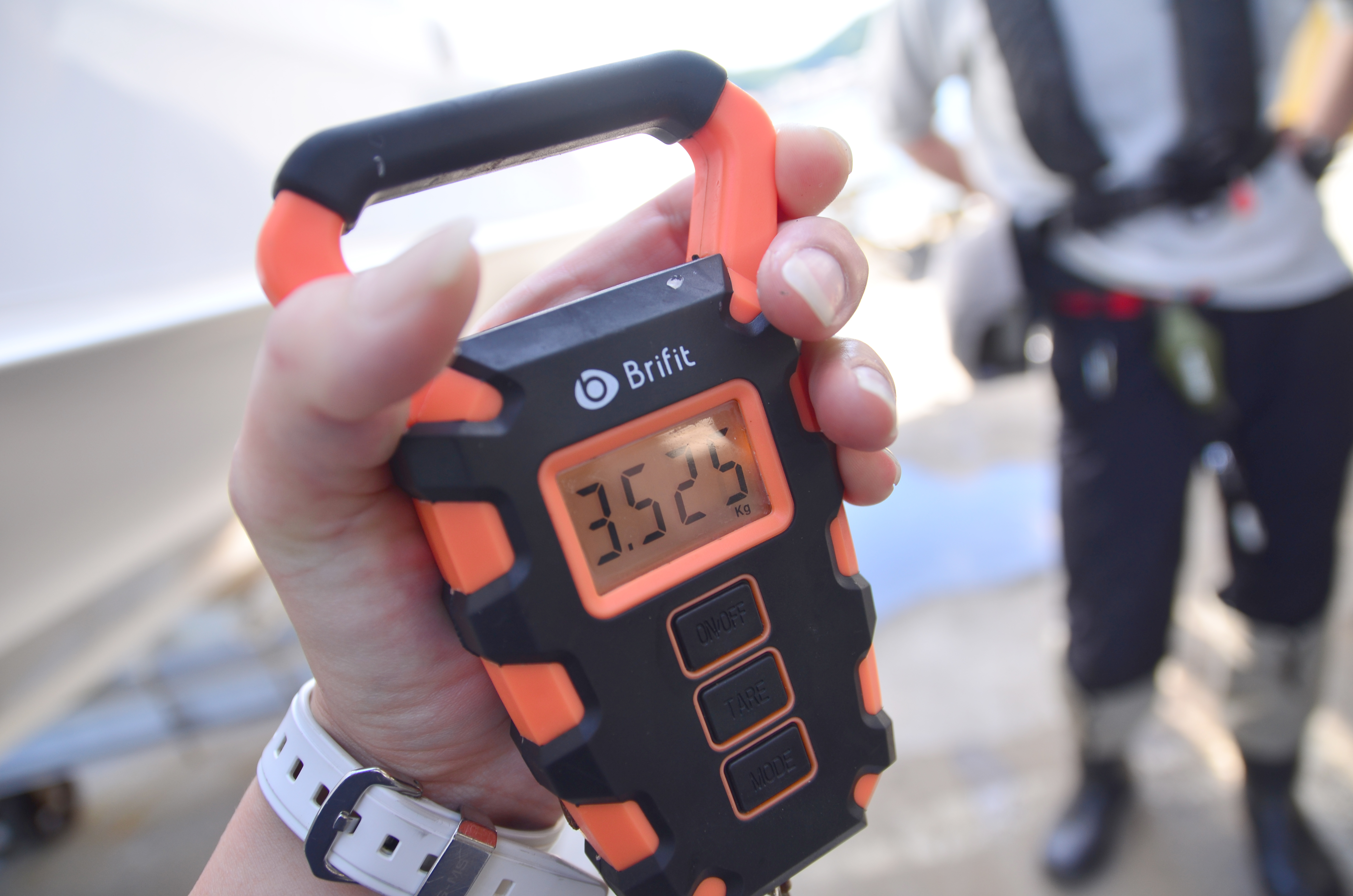 ✿サワラ・マダイ✿