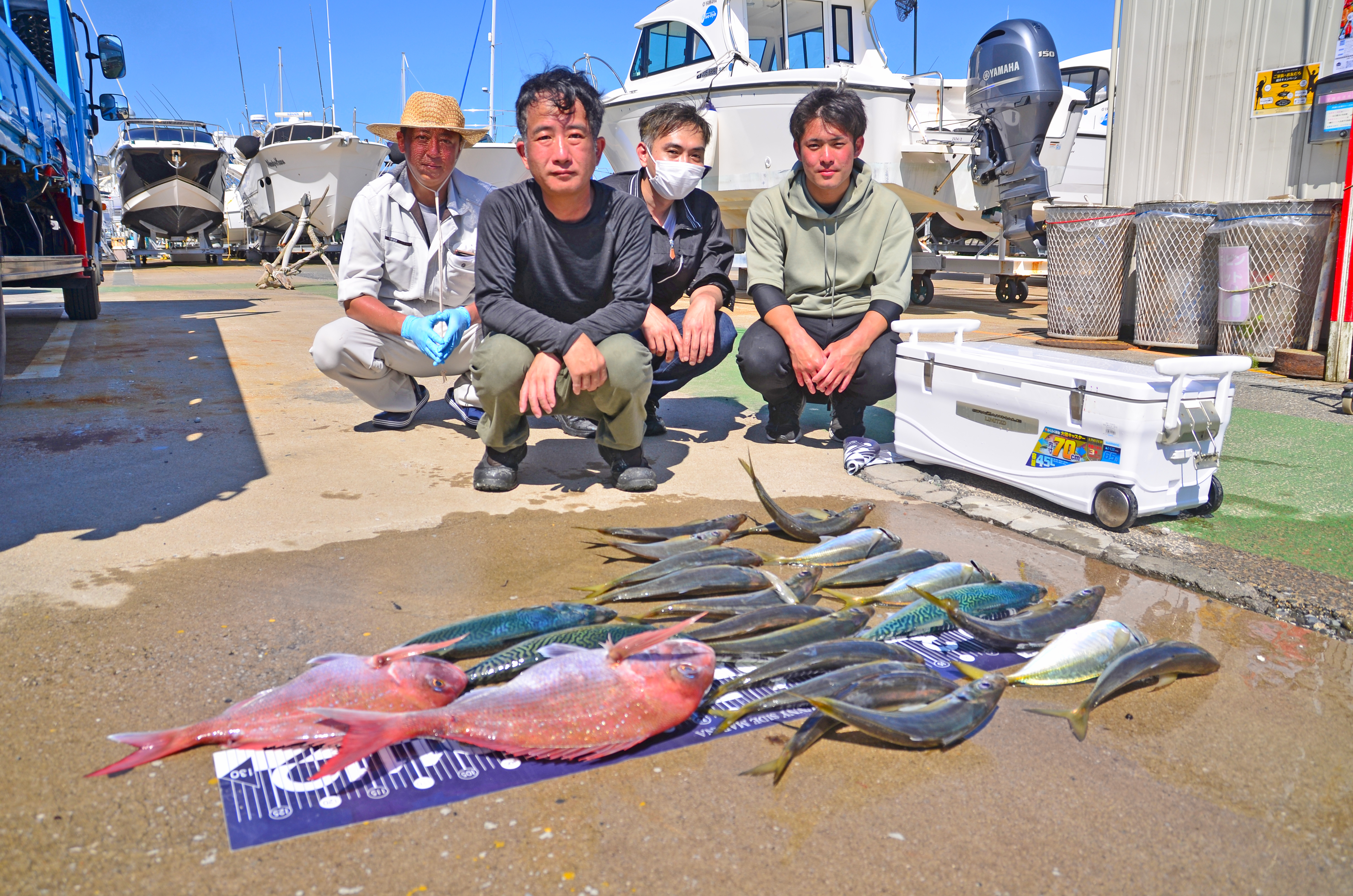 ✿アジ・サバ・マダイ✿