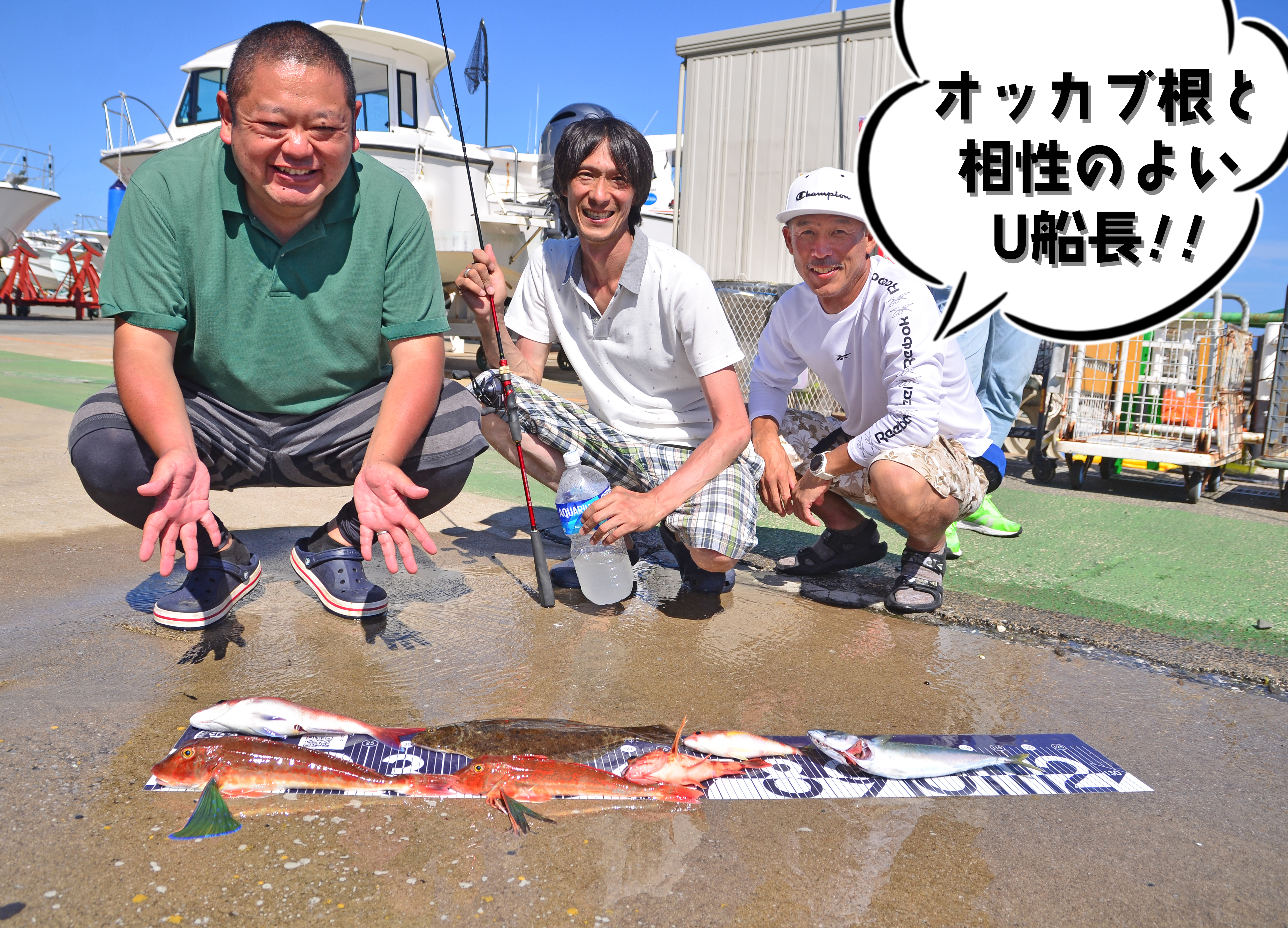 ✿マダイ・サバ・ヒラメ・カサゴ・ホウボウ・タマガシラ✿