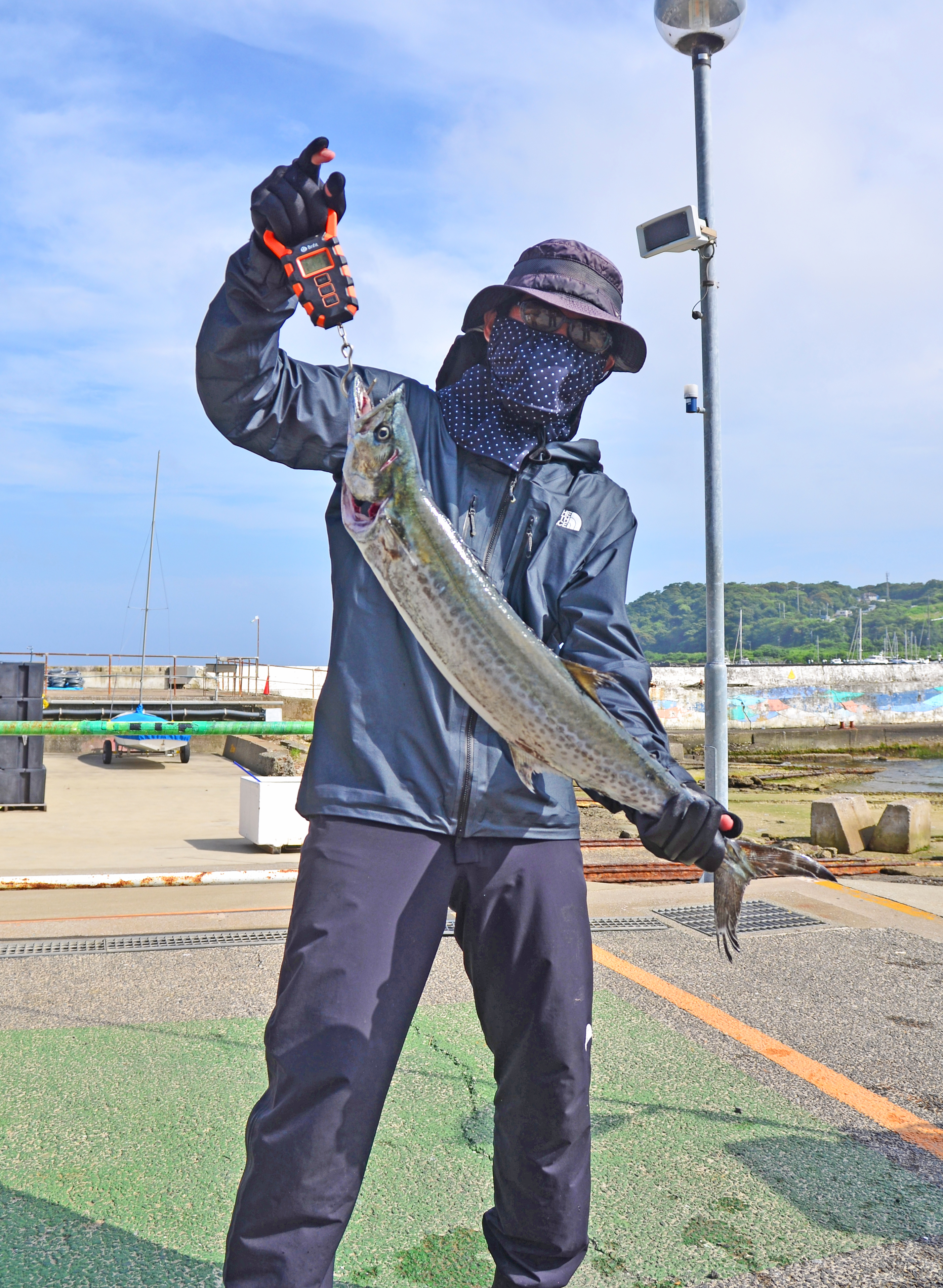 ✿サワラ・シーバス・ホウボウ・カサゴ・エソ✿
