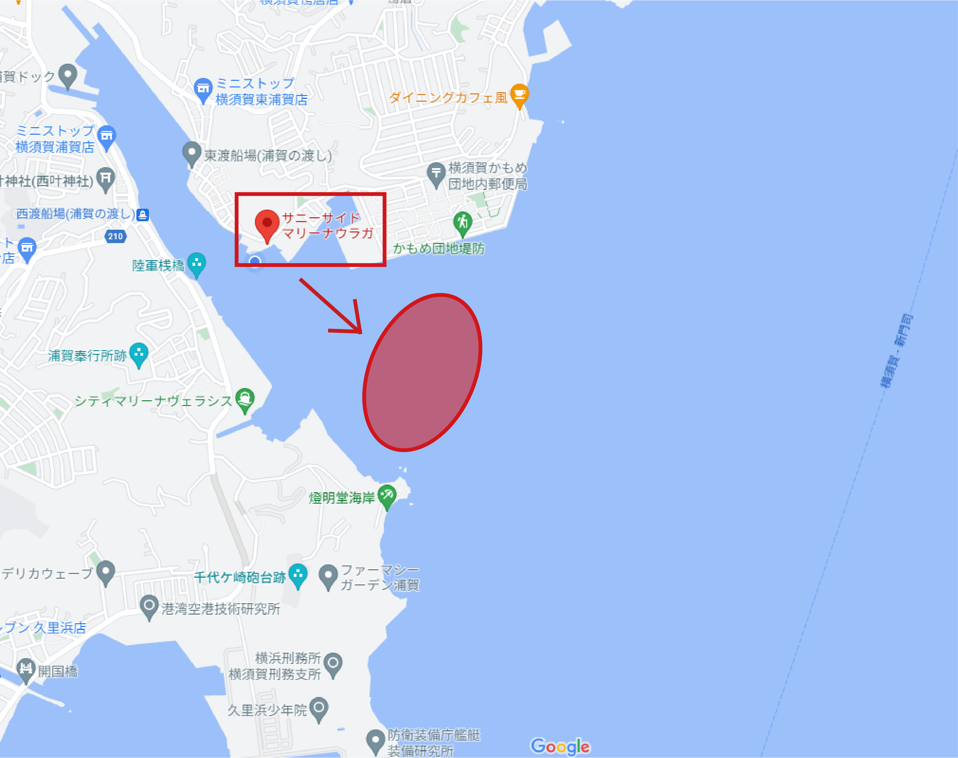 ✿サワラ・シーバス・ホウボウ・カサゴ・エソ✿