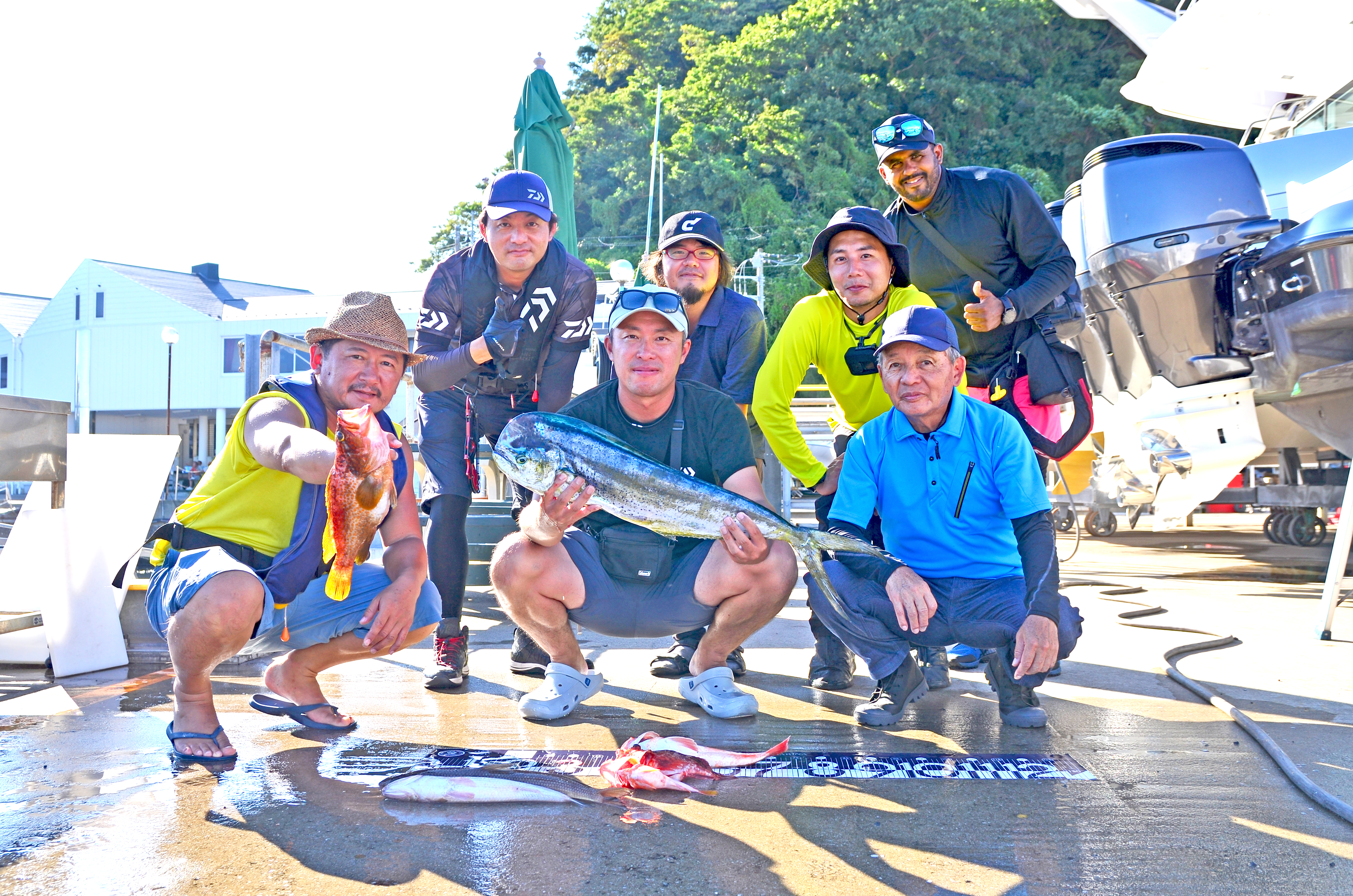 ✿シイラ・キジハタ・カサゴ・ホウボウ・エソ✿