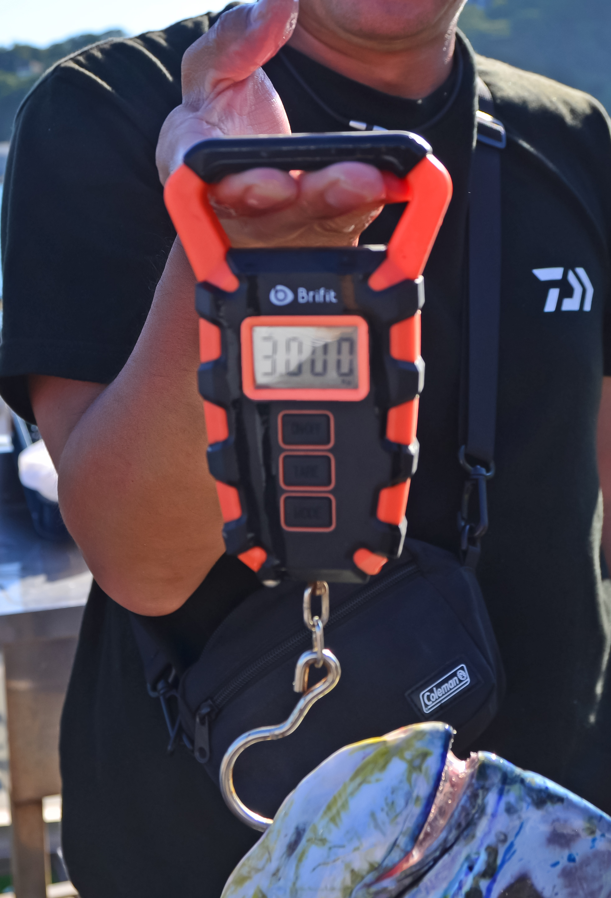 ✿シイラ・キジハタ・カサゴ・ホウボウ・エソ✿