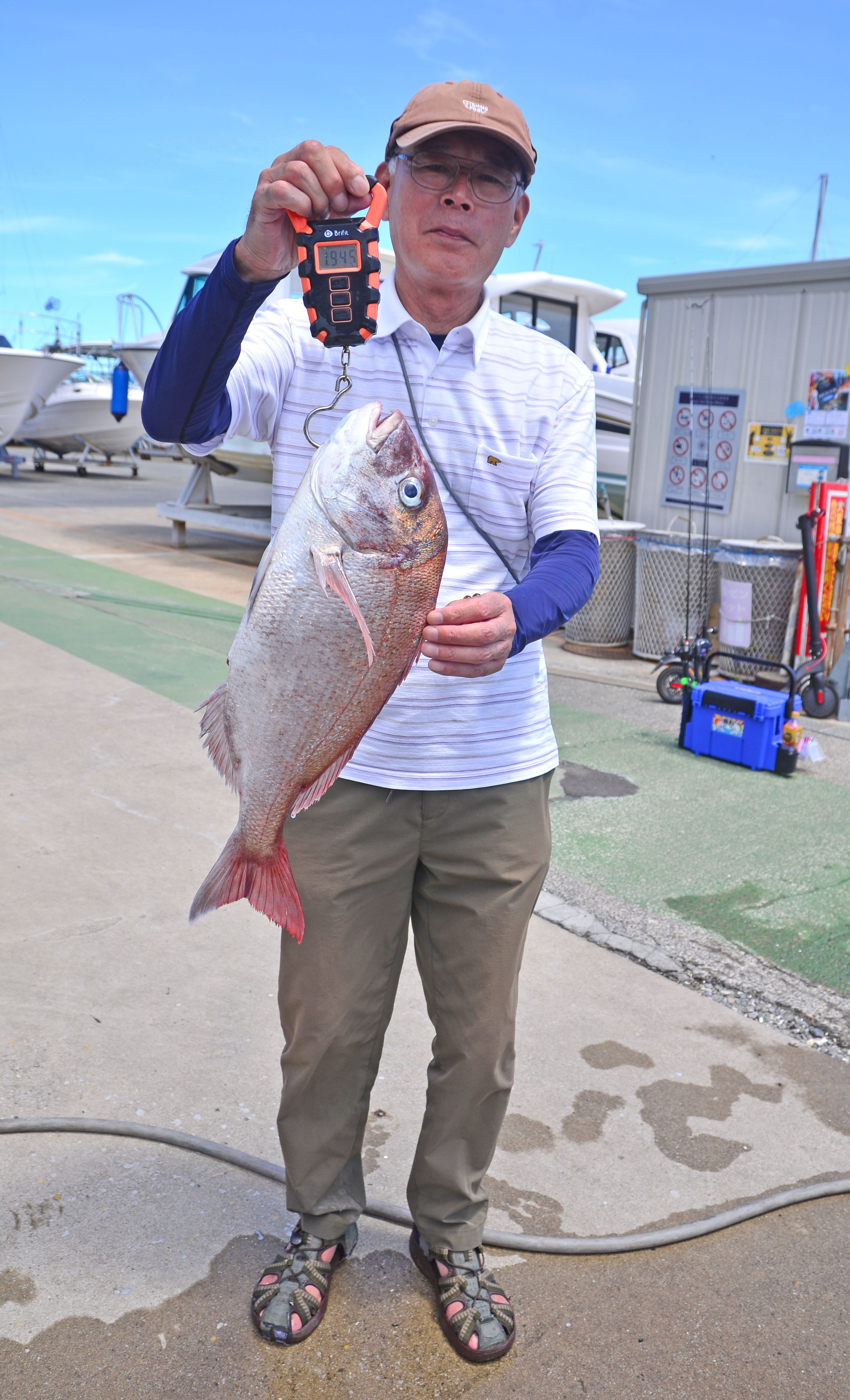 ✿マダイ・アジ・サバ・タチウオ✿