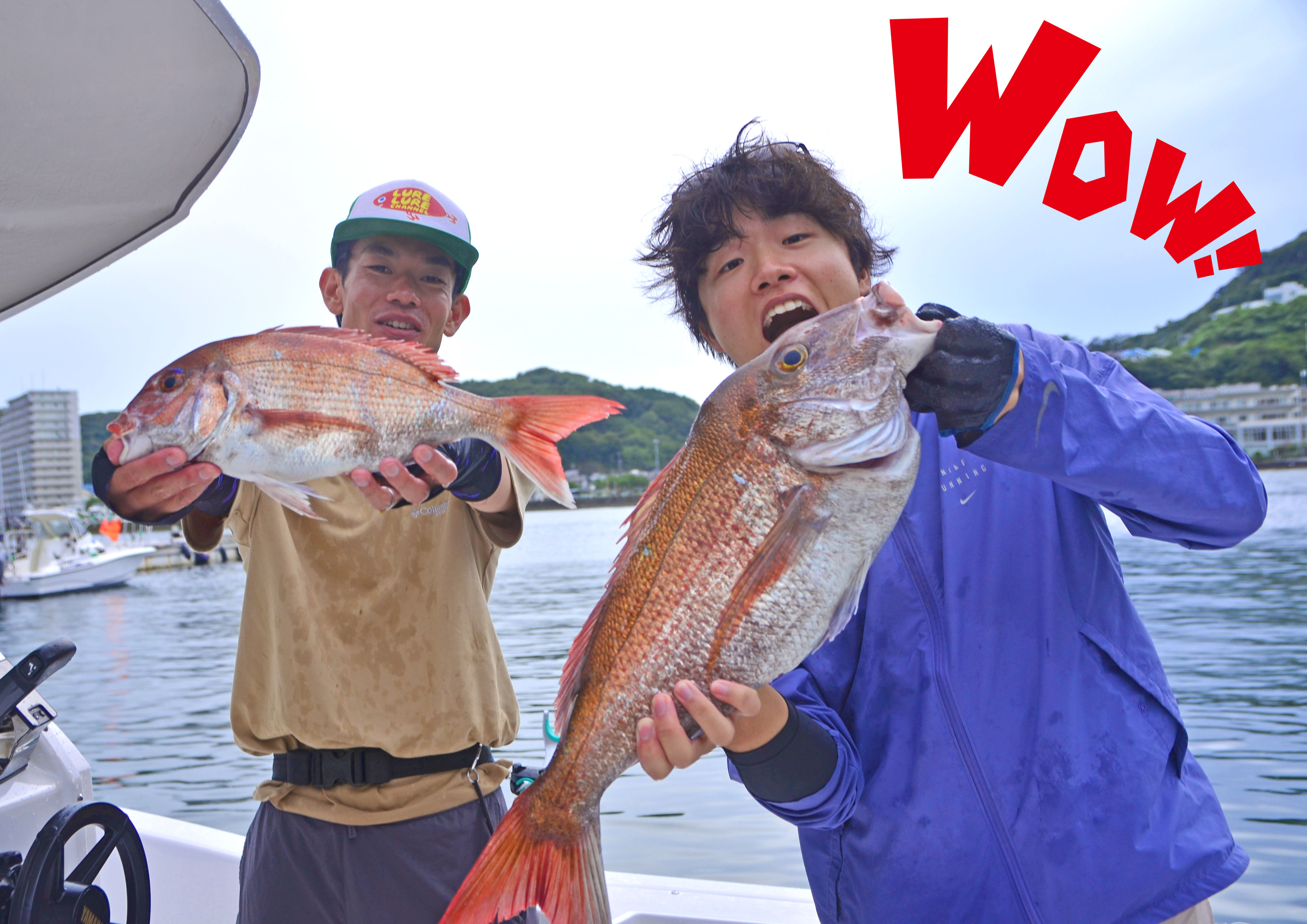 ✿マダイ・サバ✿