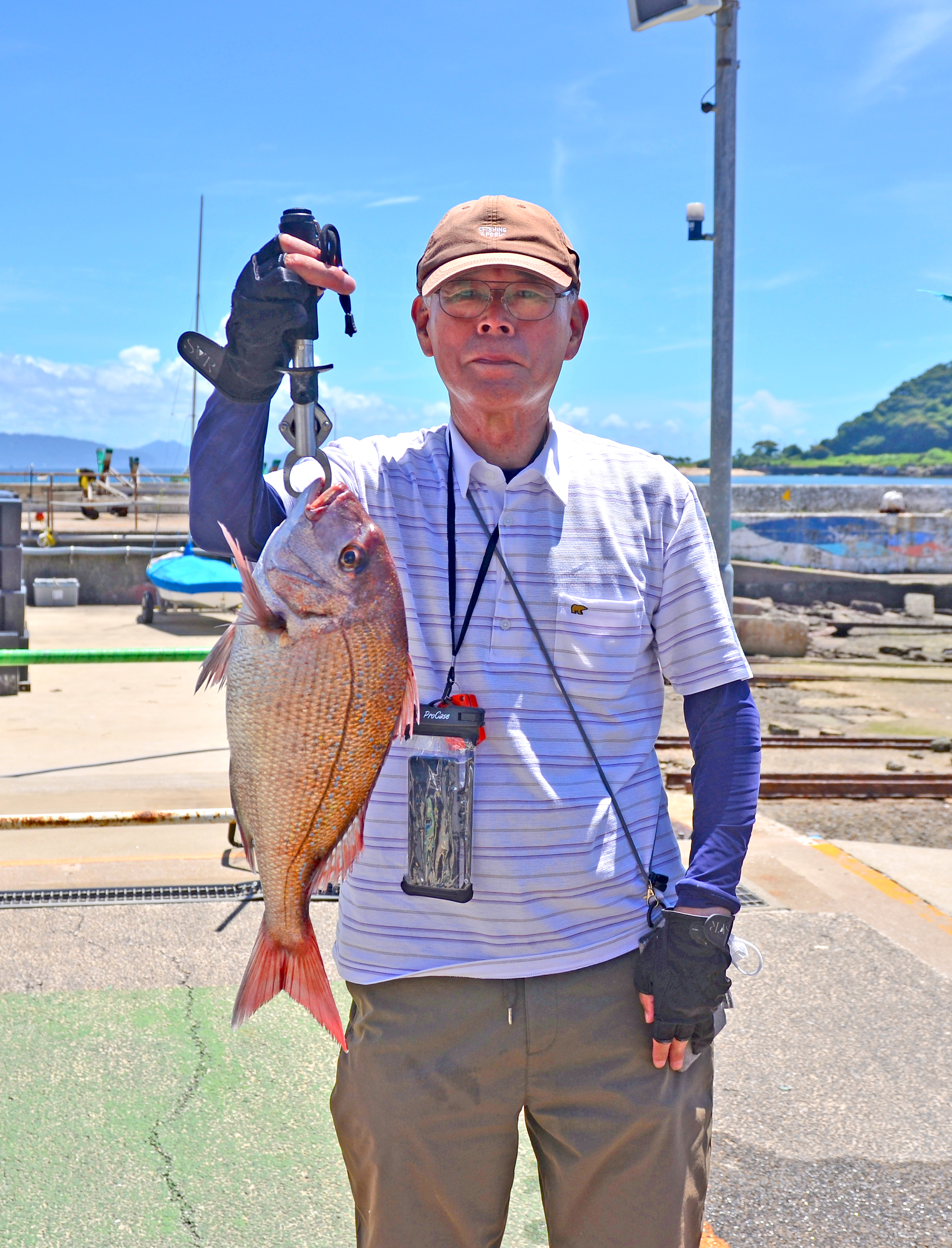 ✿マダイ・ホウボウ✿
