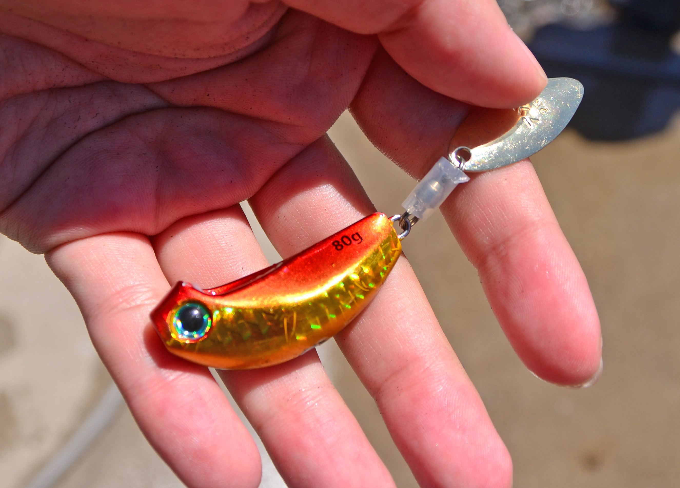 ✿マダイ・ホウボウ✿