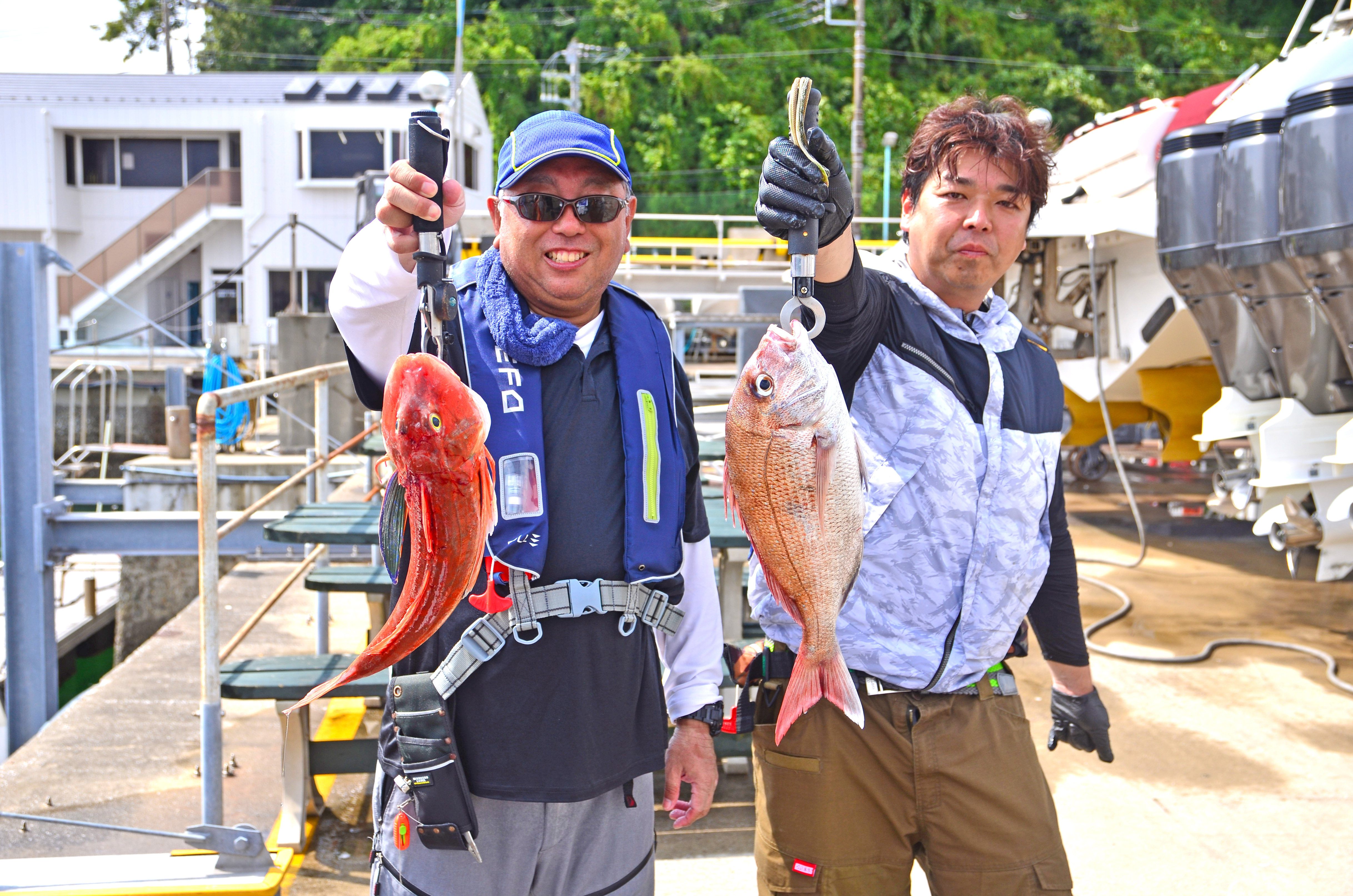 ✿マダイ・ホウボウ✿