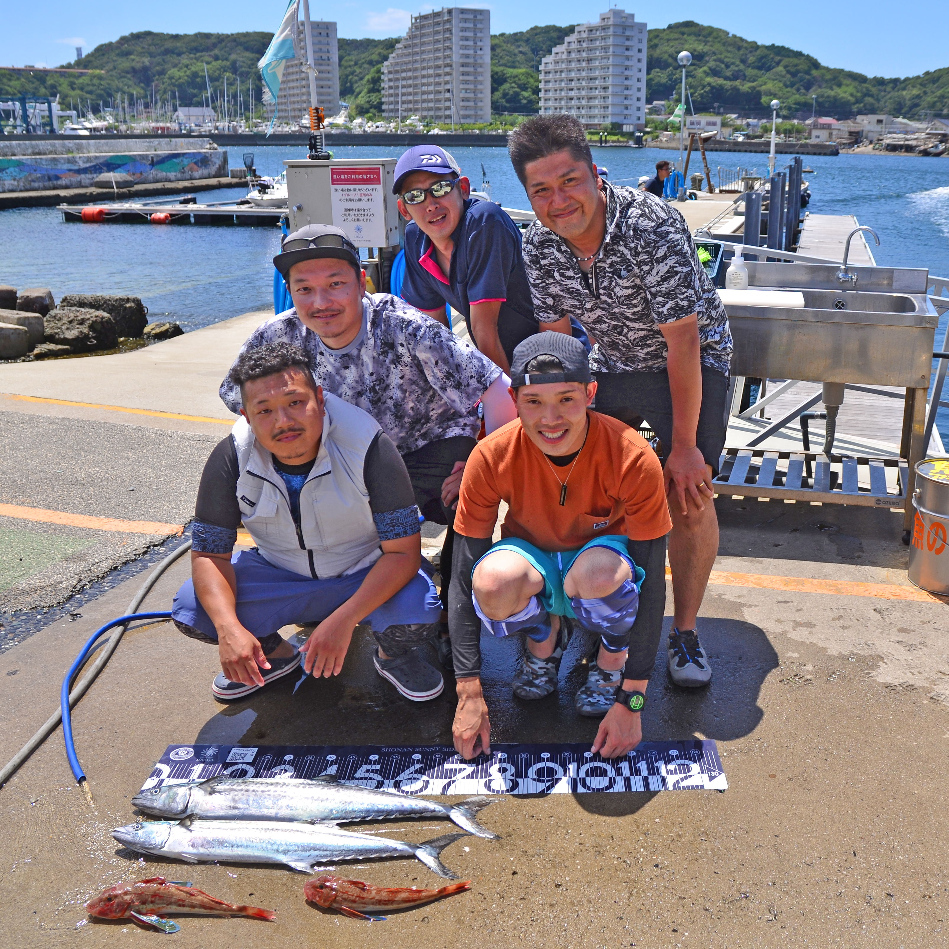 ✿サワラ・ホウボウ✿