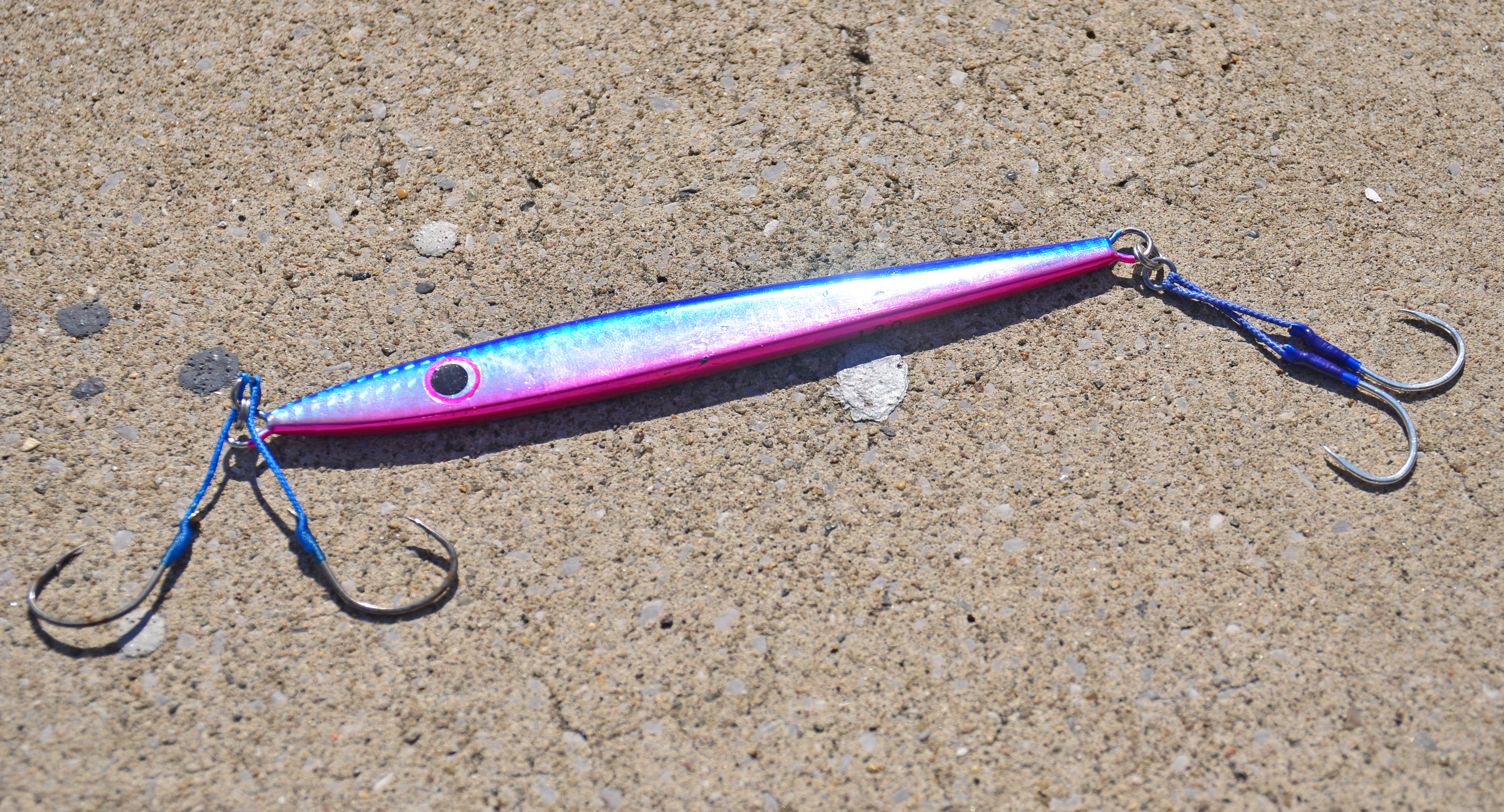 ✿サワラ・ペンペン(シイラ)・サバ・マハタ・ホウボウ✿