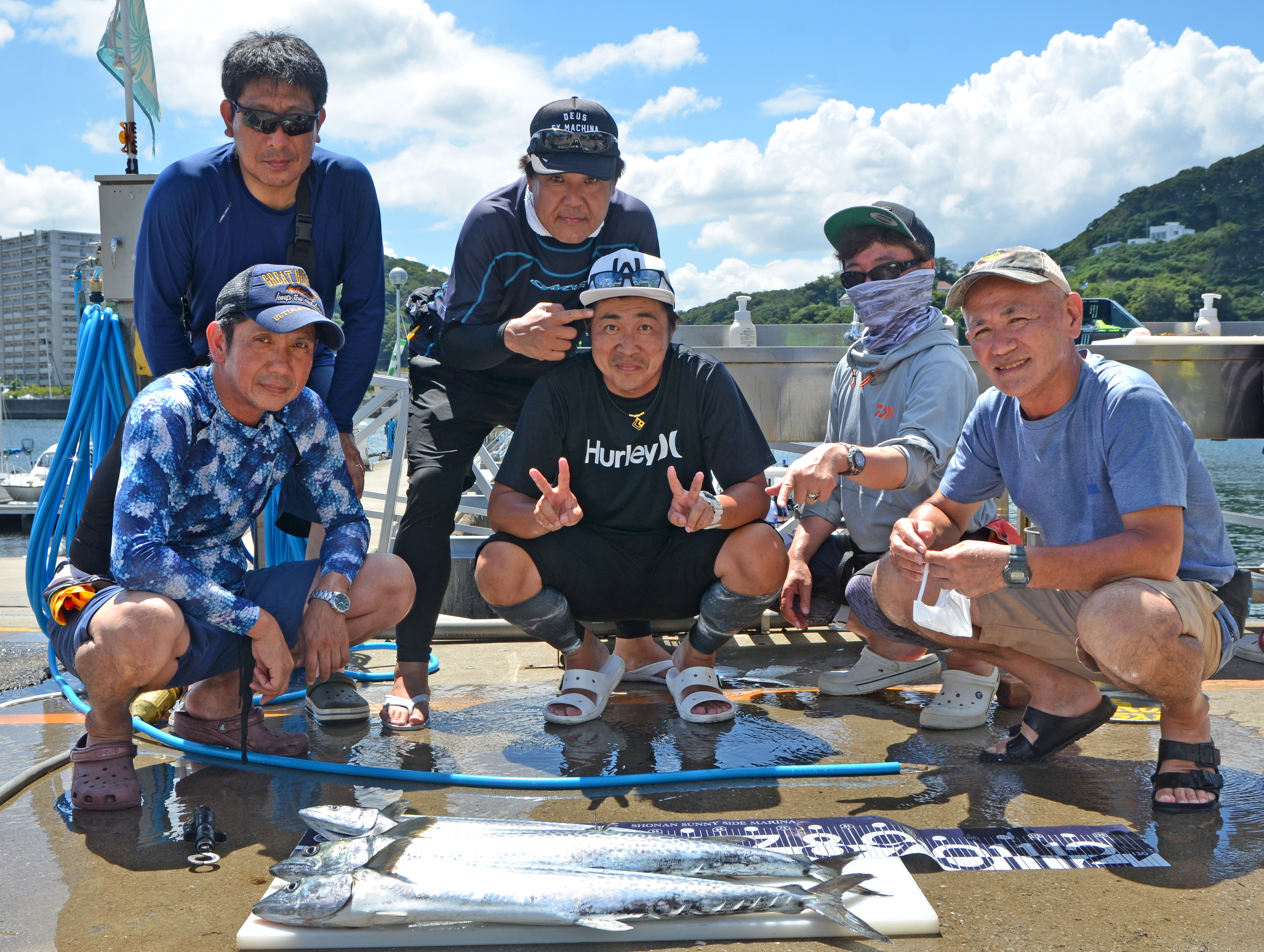 ✿マダイ・ホウボウ・サワラ✿