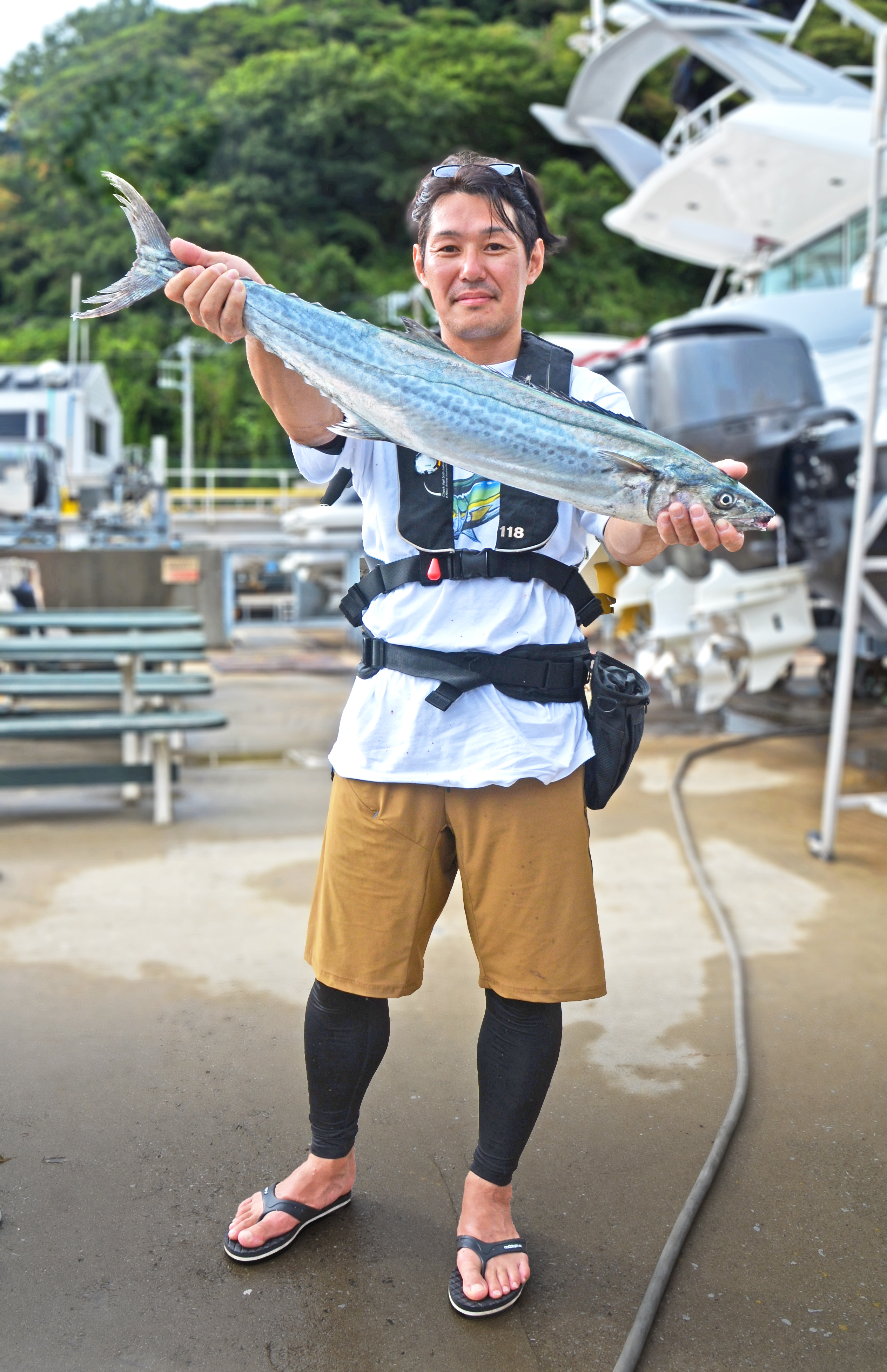 ✿サワラ・マダイ・ホウボウ・ワカシ・シイラ・アジ✿