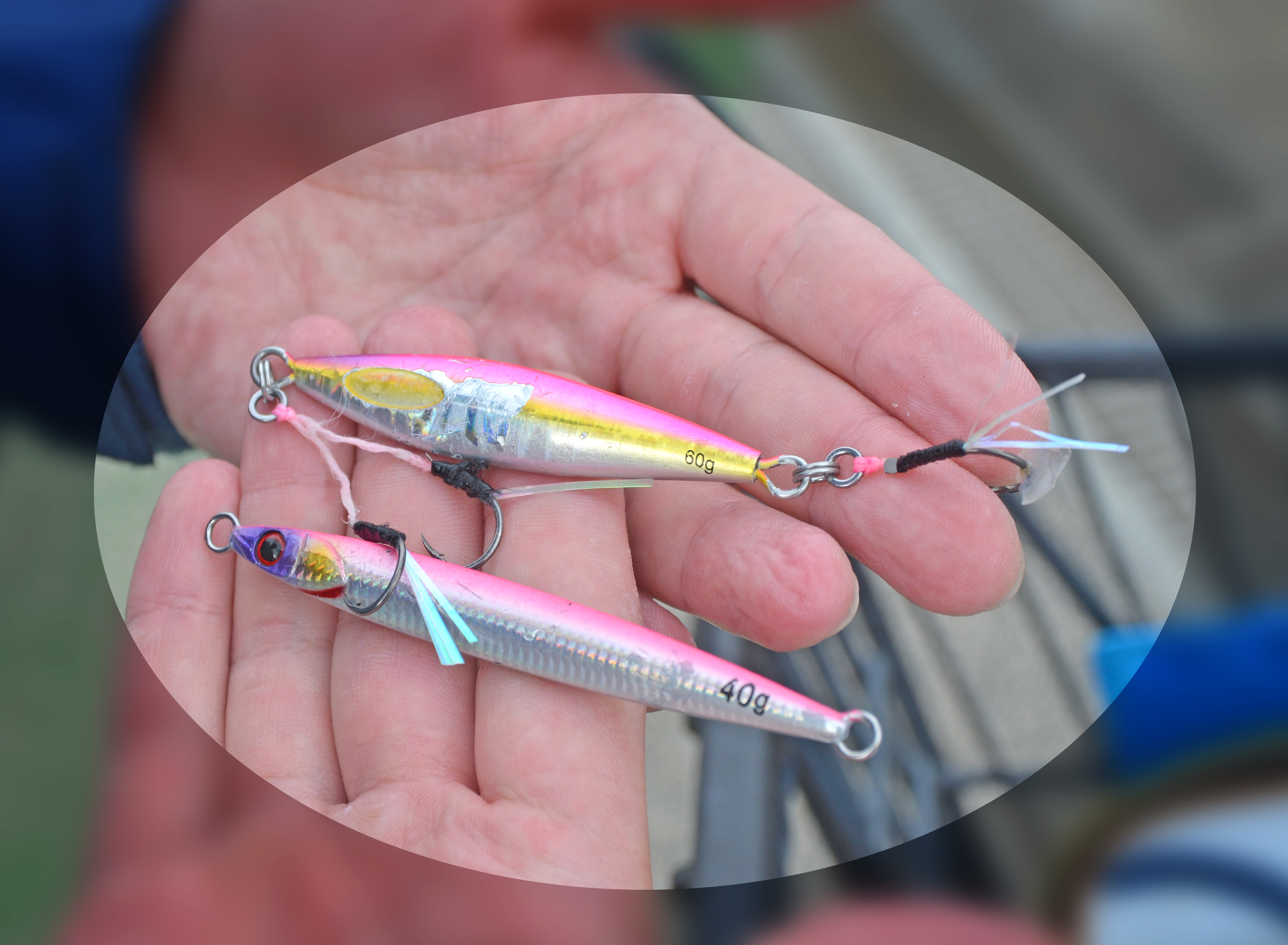 ✿サワラ・カサゴ✿