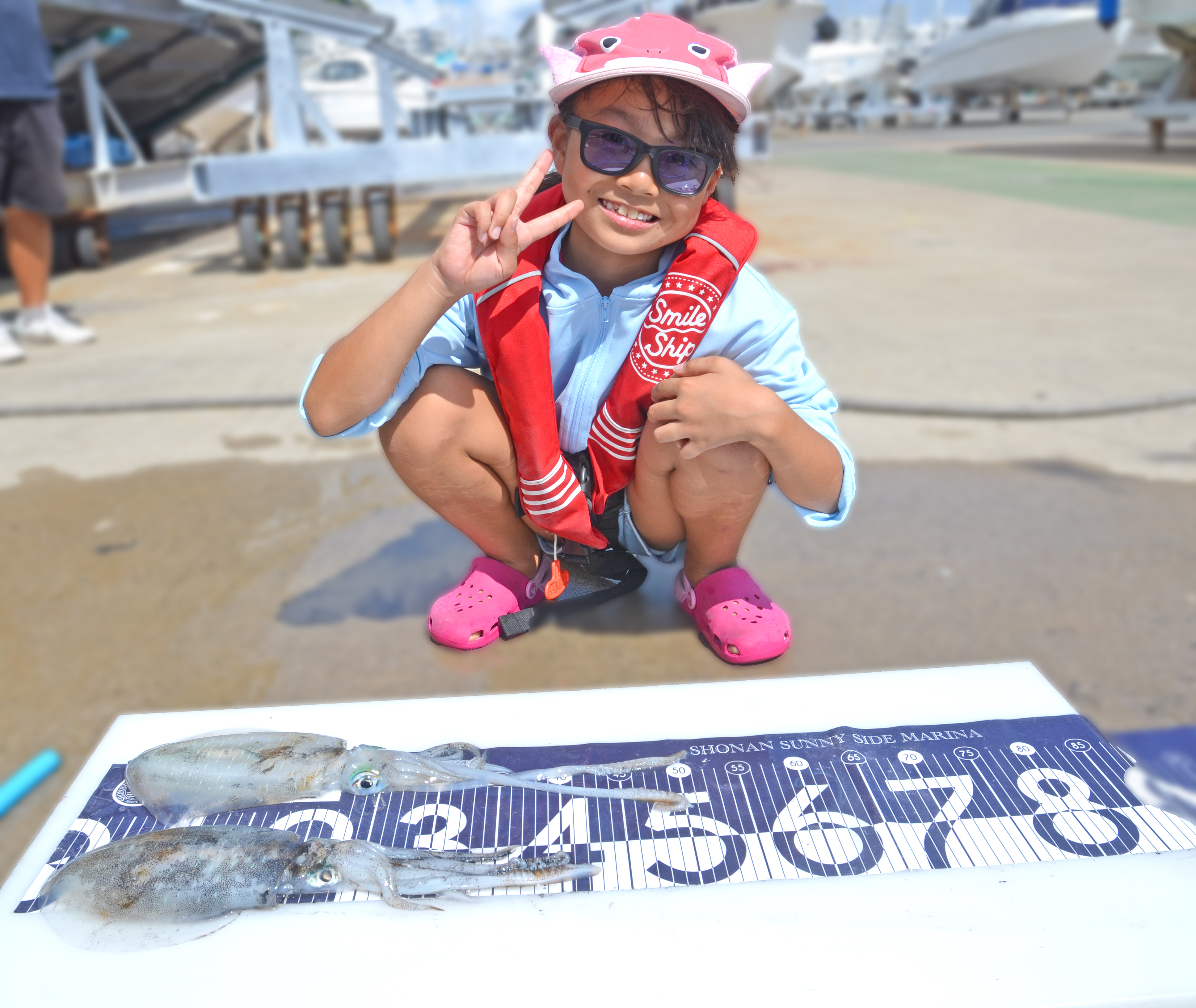 ✿アオリイカ✿