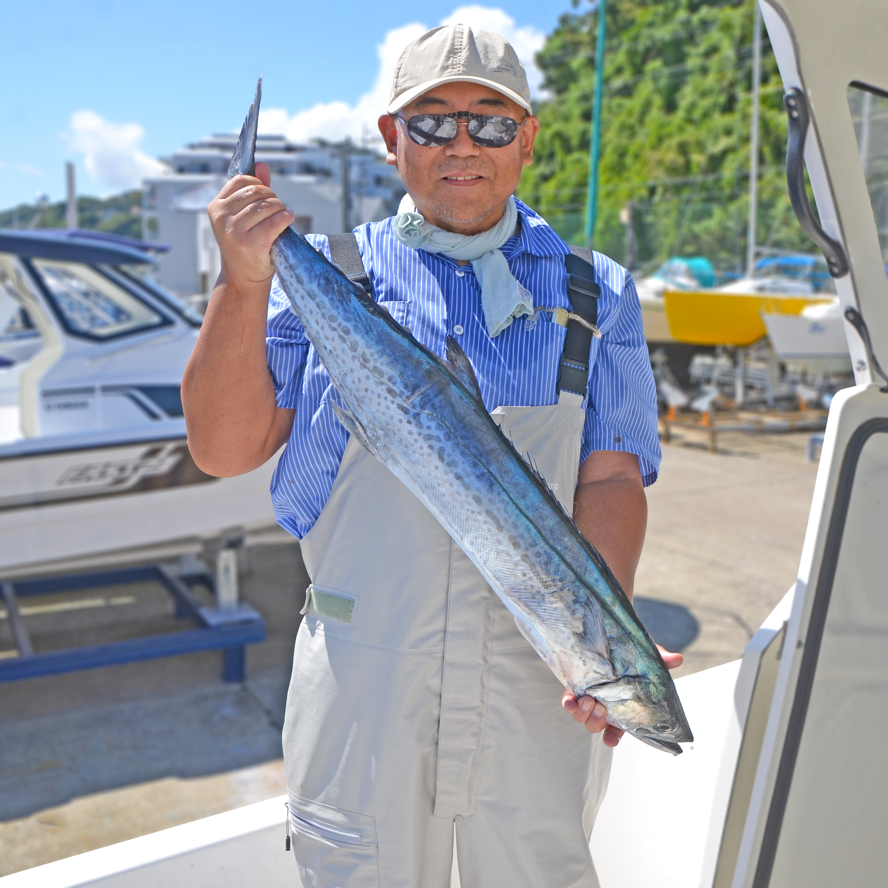 ✿サワラ・ワラサ・アジ✿