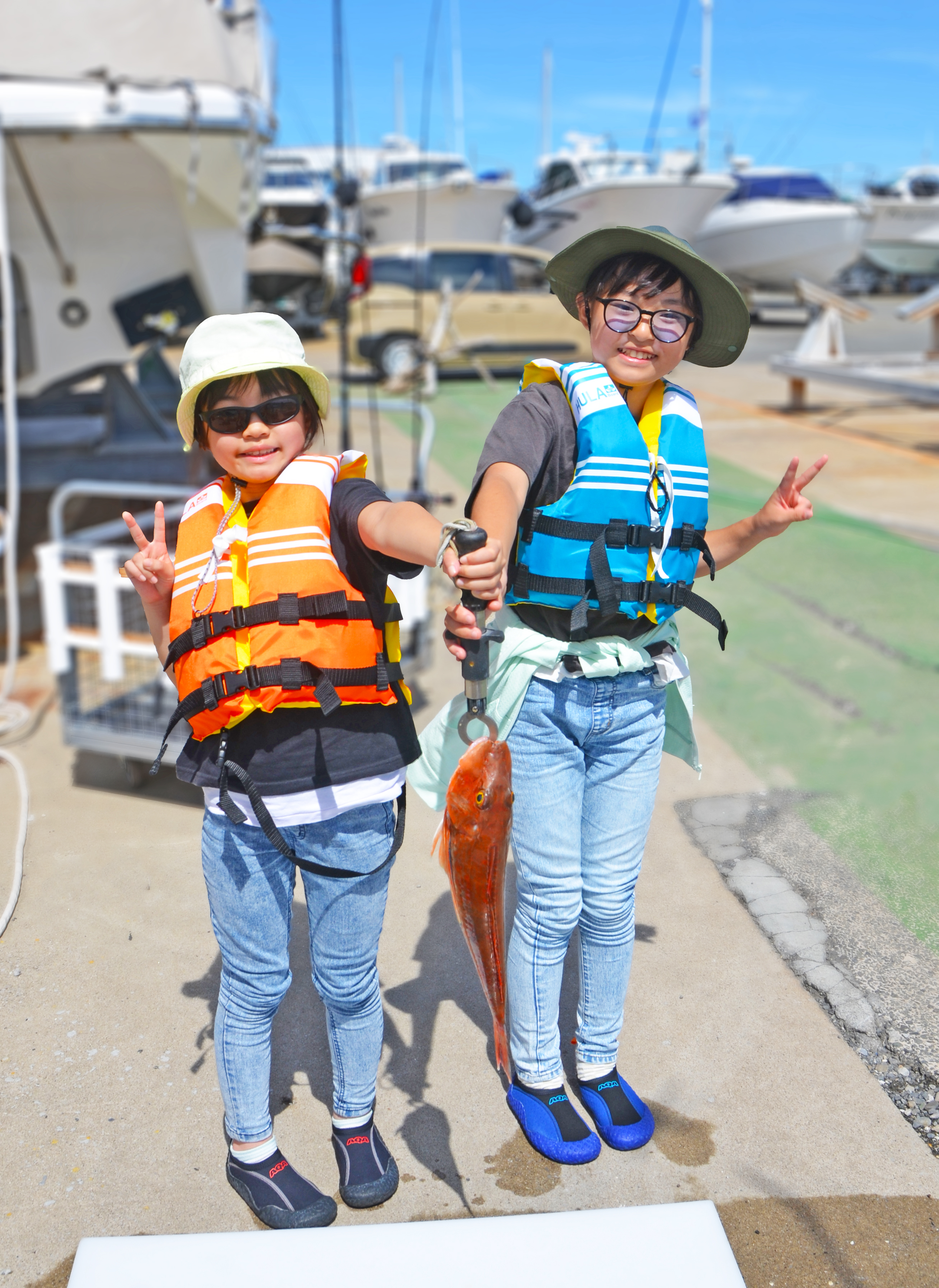 ✿ホウボウ・マダイ・イナダ✿