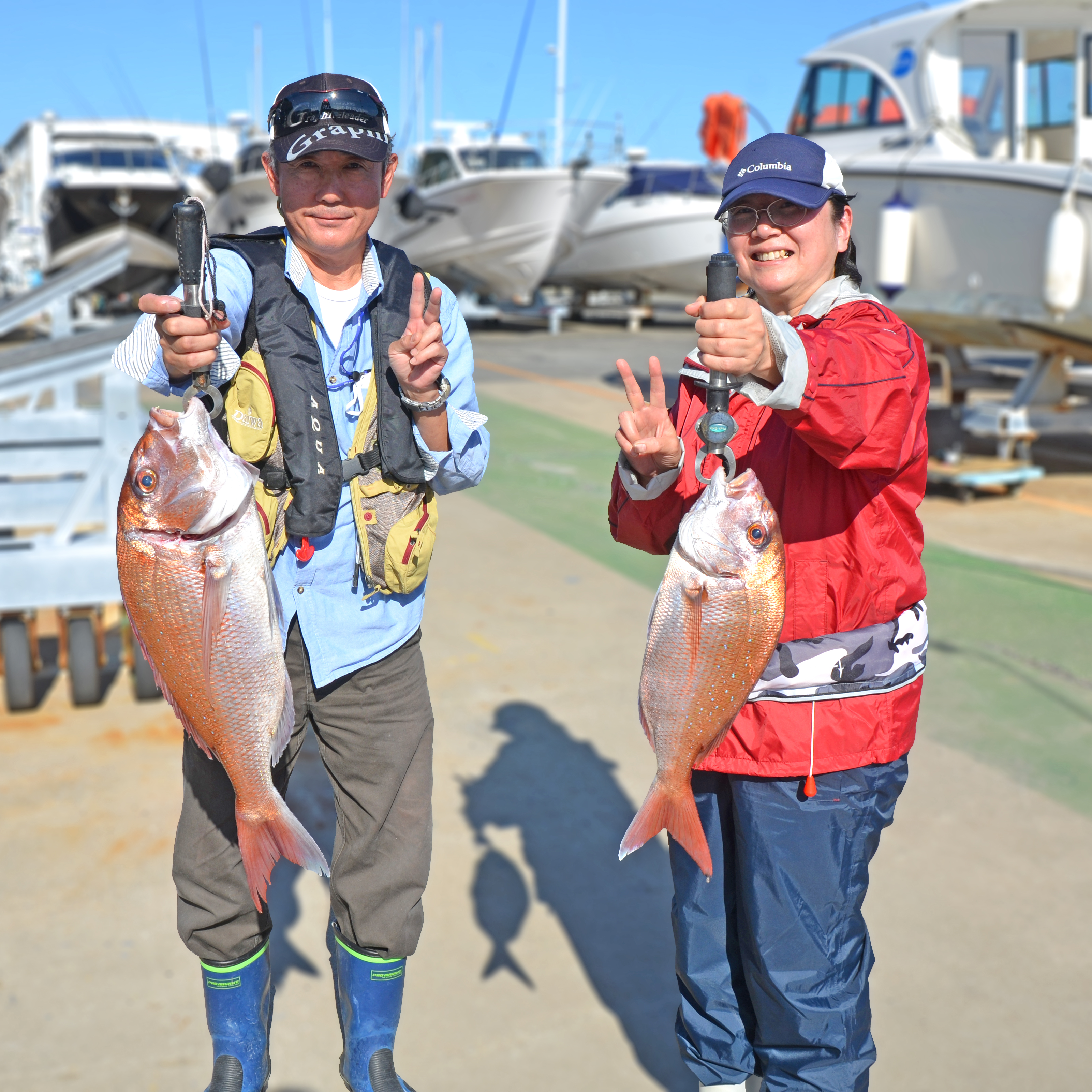 ✿マダイ・アオリイカ✿