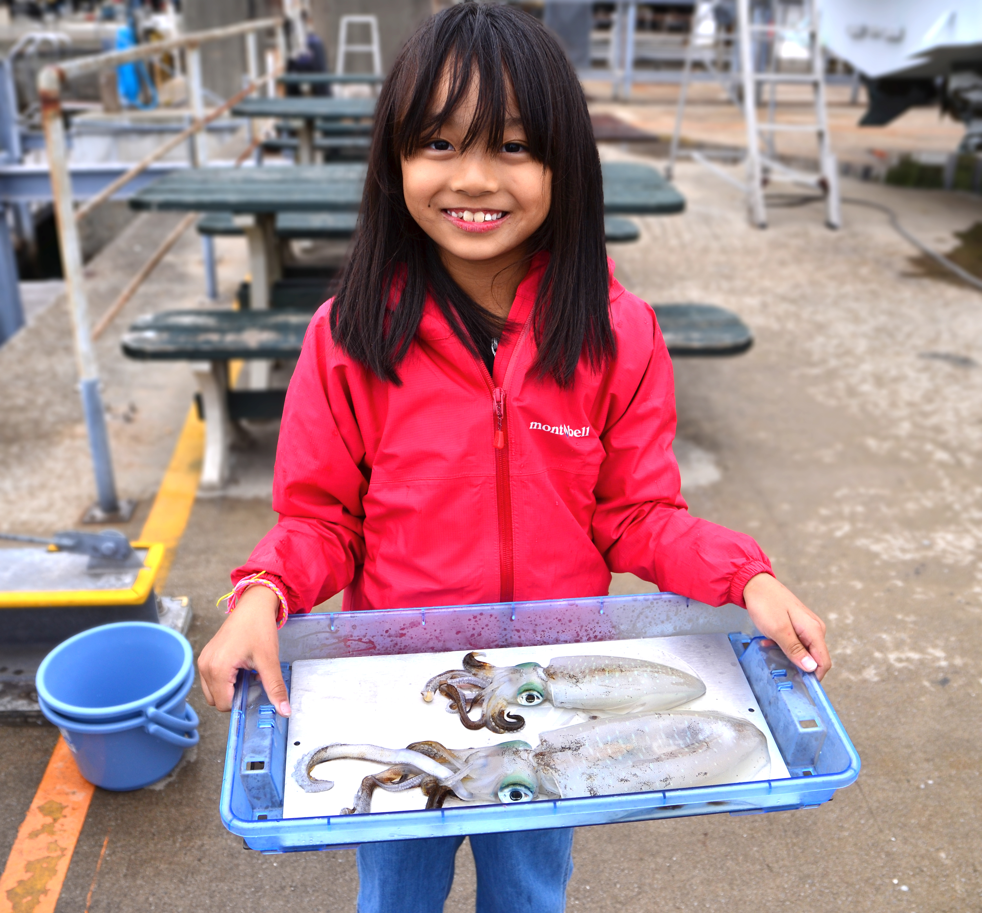 ✿アオリイカ✿