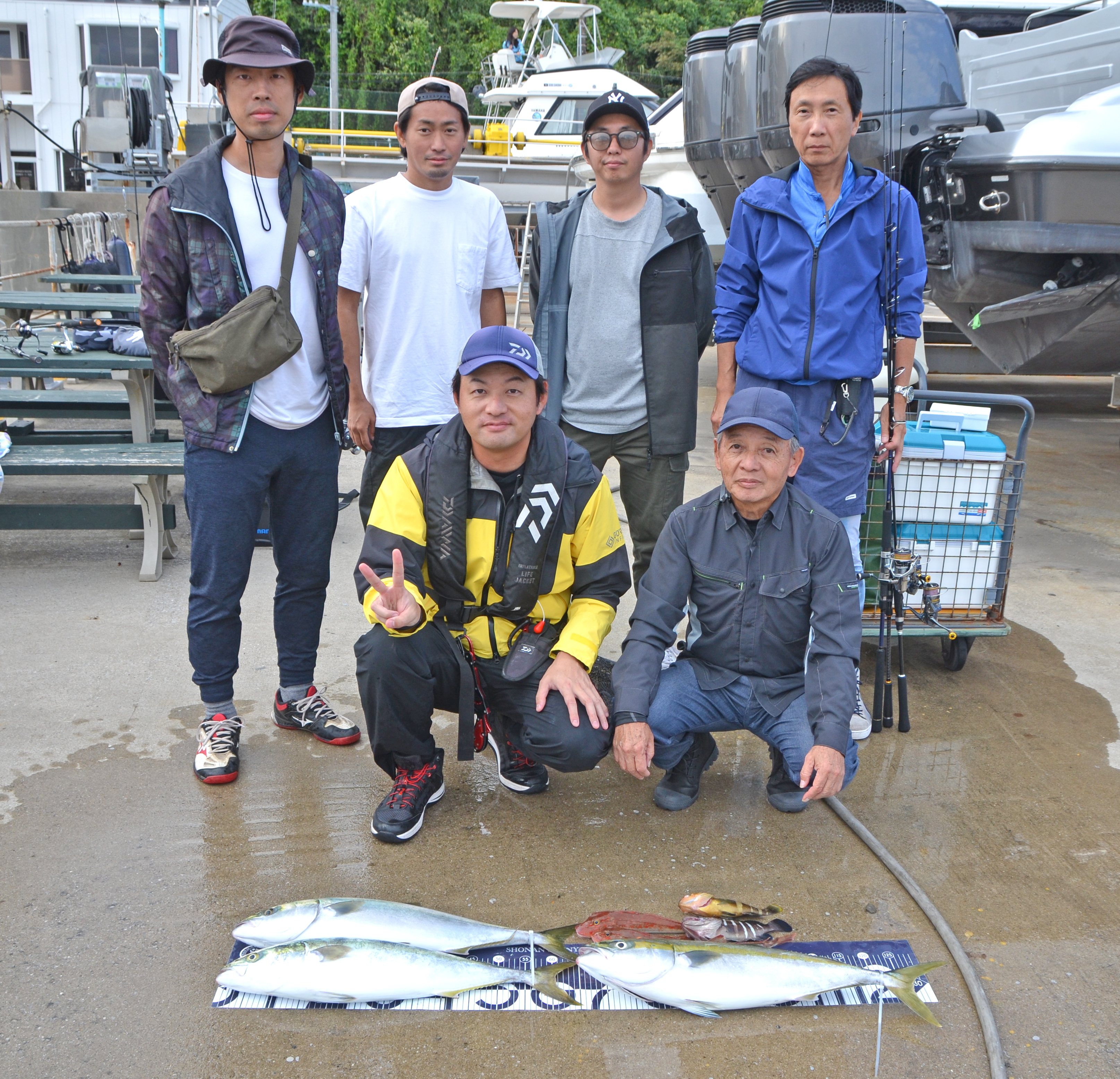 ✿ワラサ・アオハタ・マハタ・ホウボウ・カサゴ✿