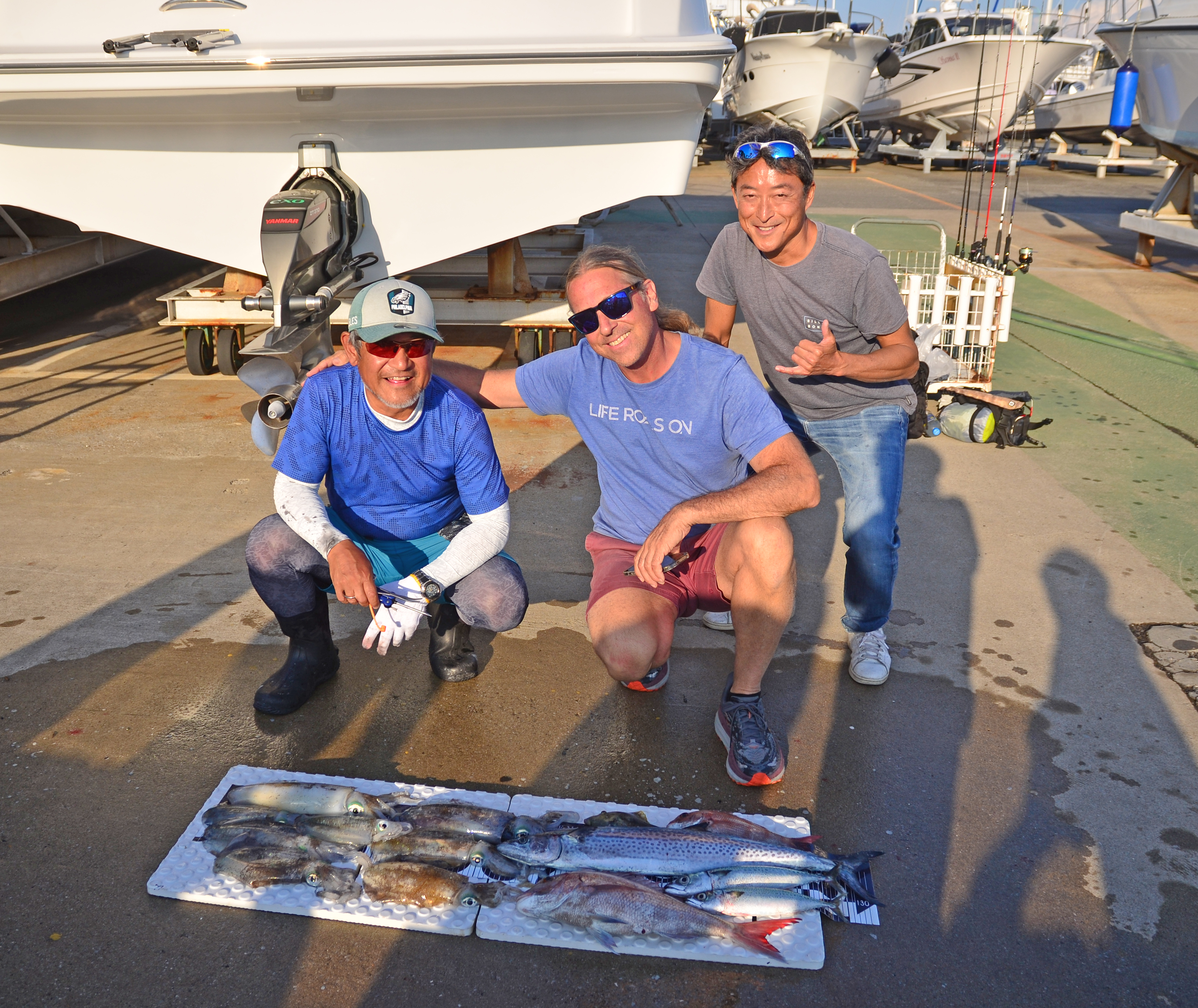 ✿アオリイカ・マダイ・サワラ・サバ・カワハギ✿