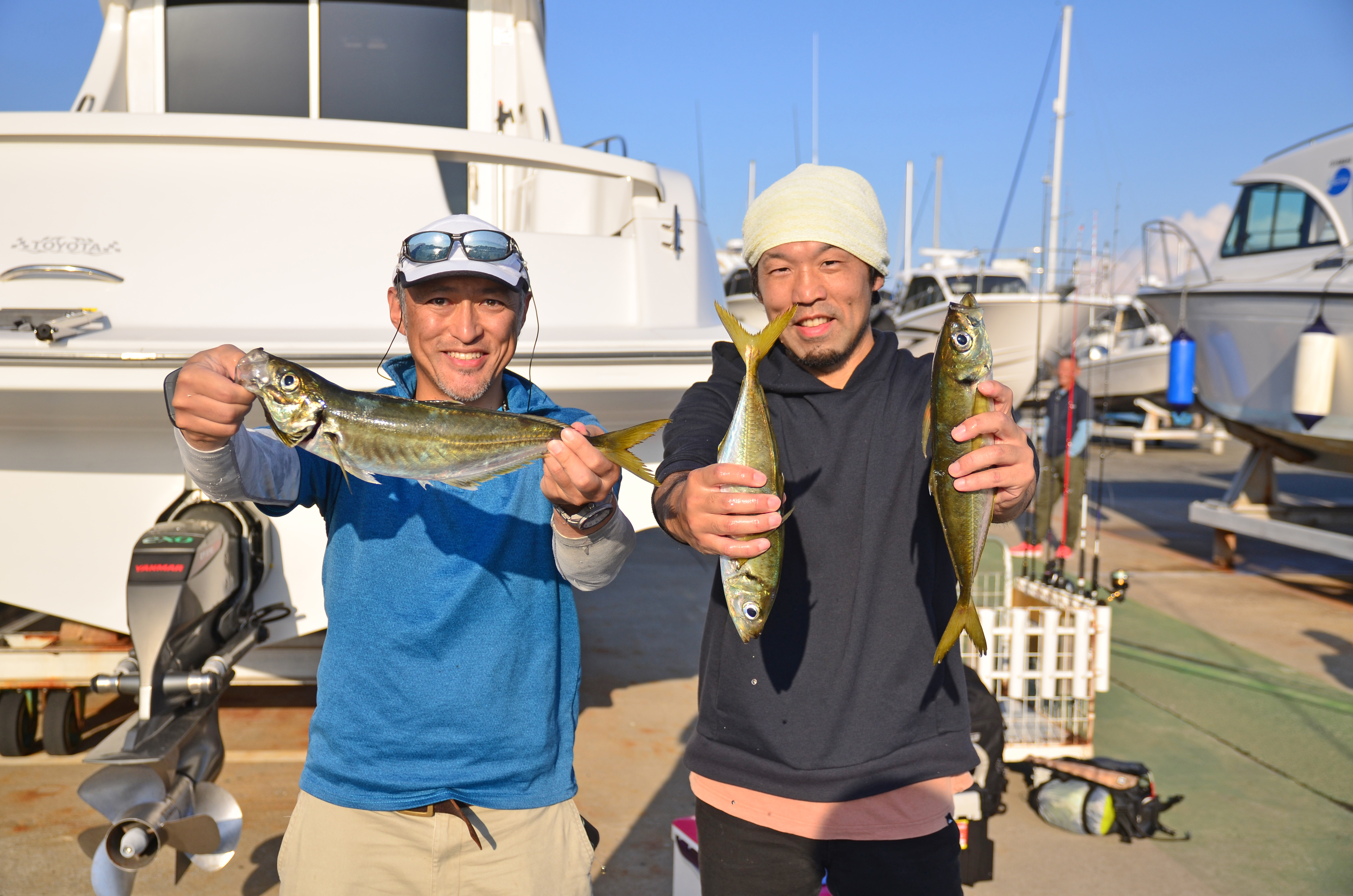 ✿アジ・ホウボウ・イサキ✿