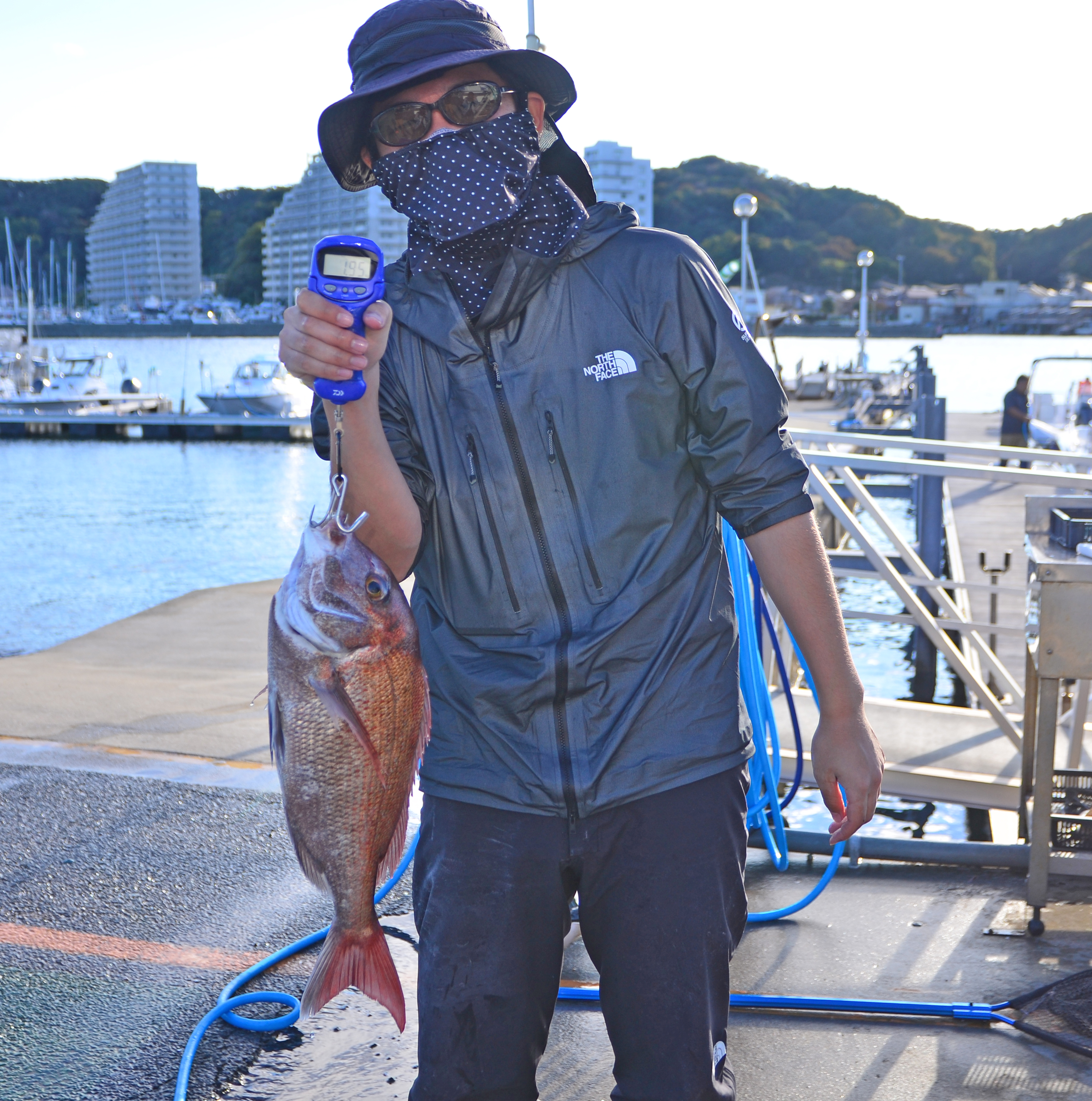 ✿マダイ・ホウボウ・ウッカリカサゴ✿