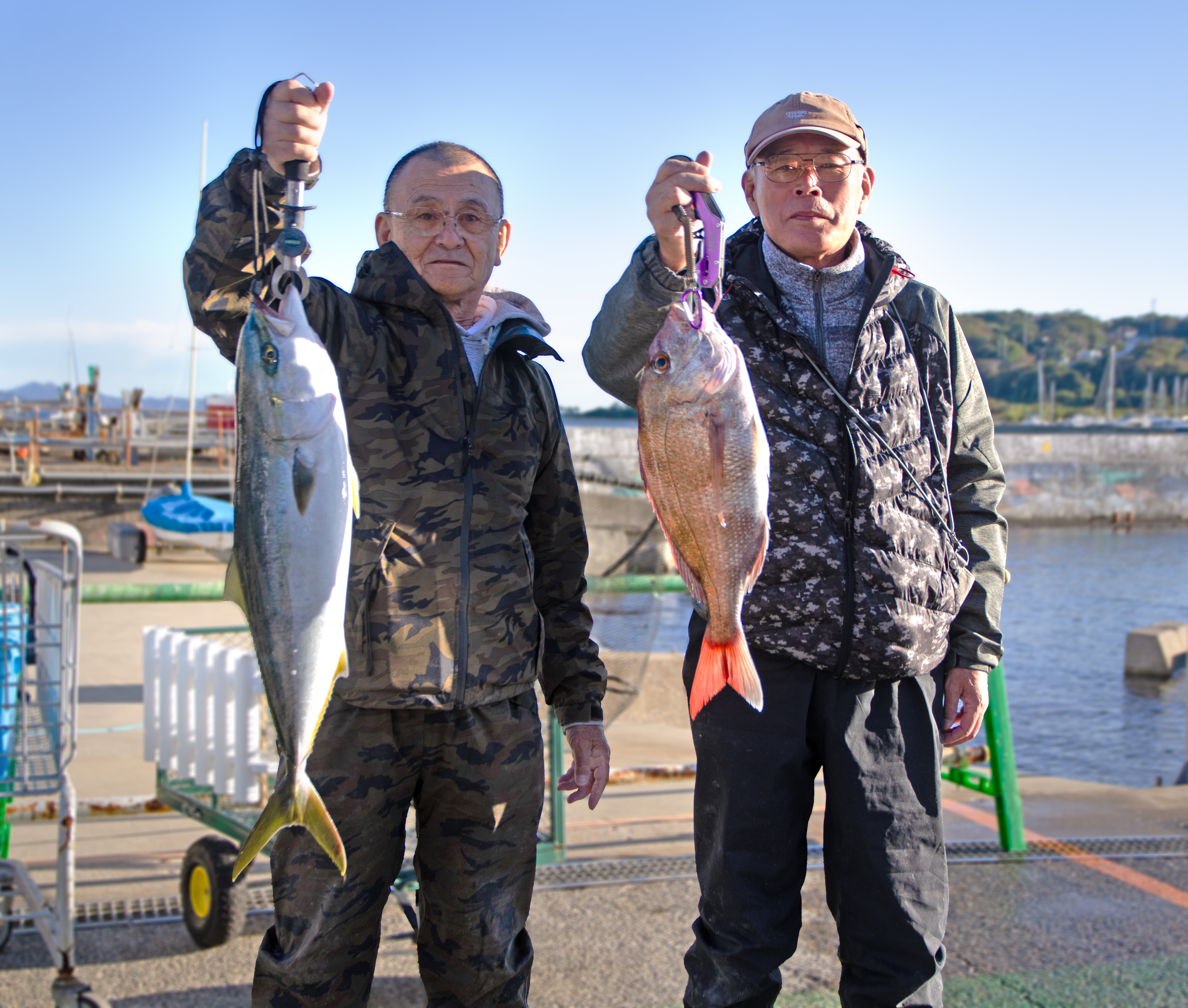 ✿ワラサ・マダイ・イトヨリダイ・アオハタ・ホウボウ✿