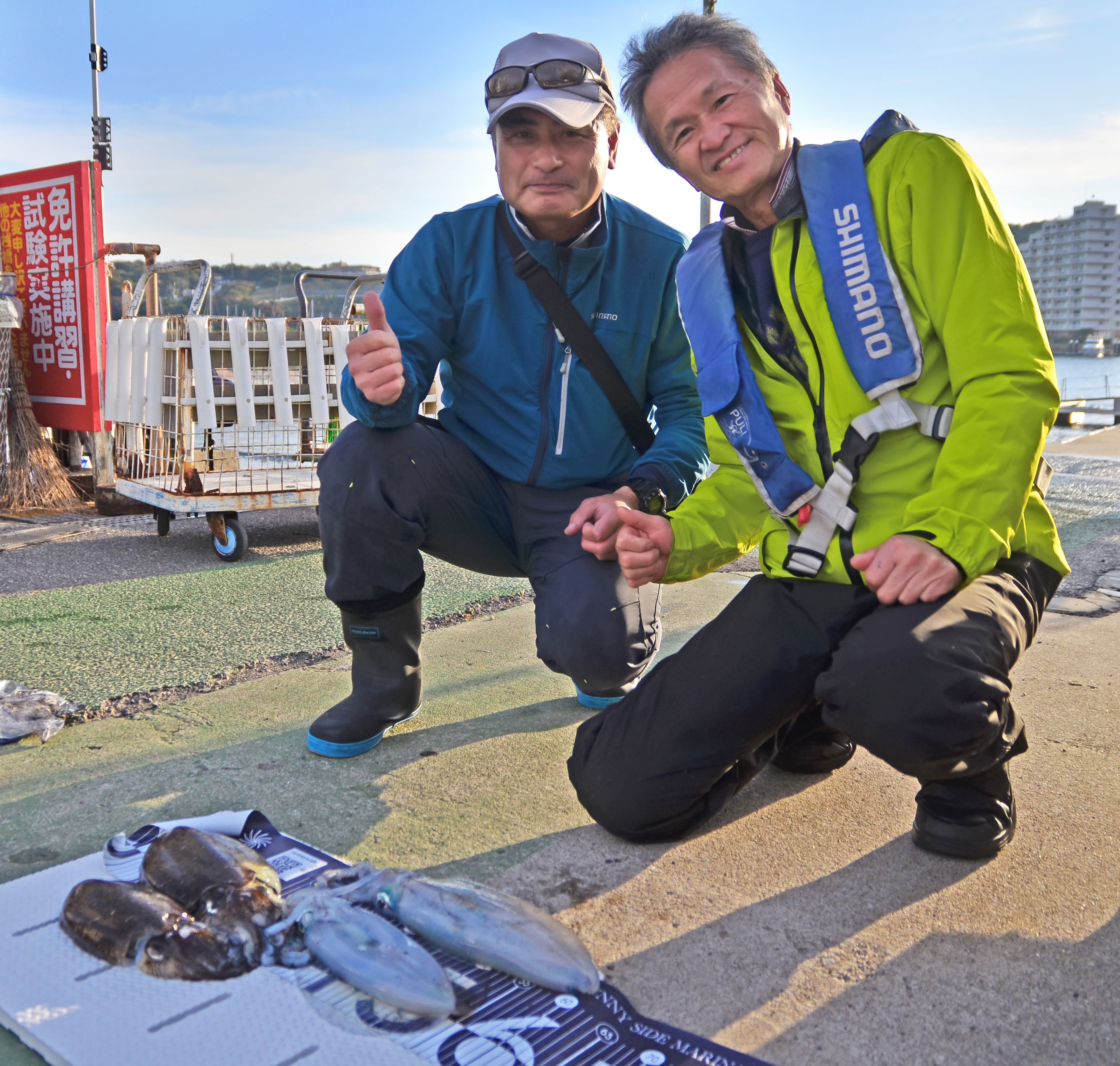 ✿アオリイカ・モンゴウイカ✿