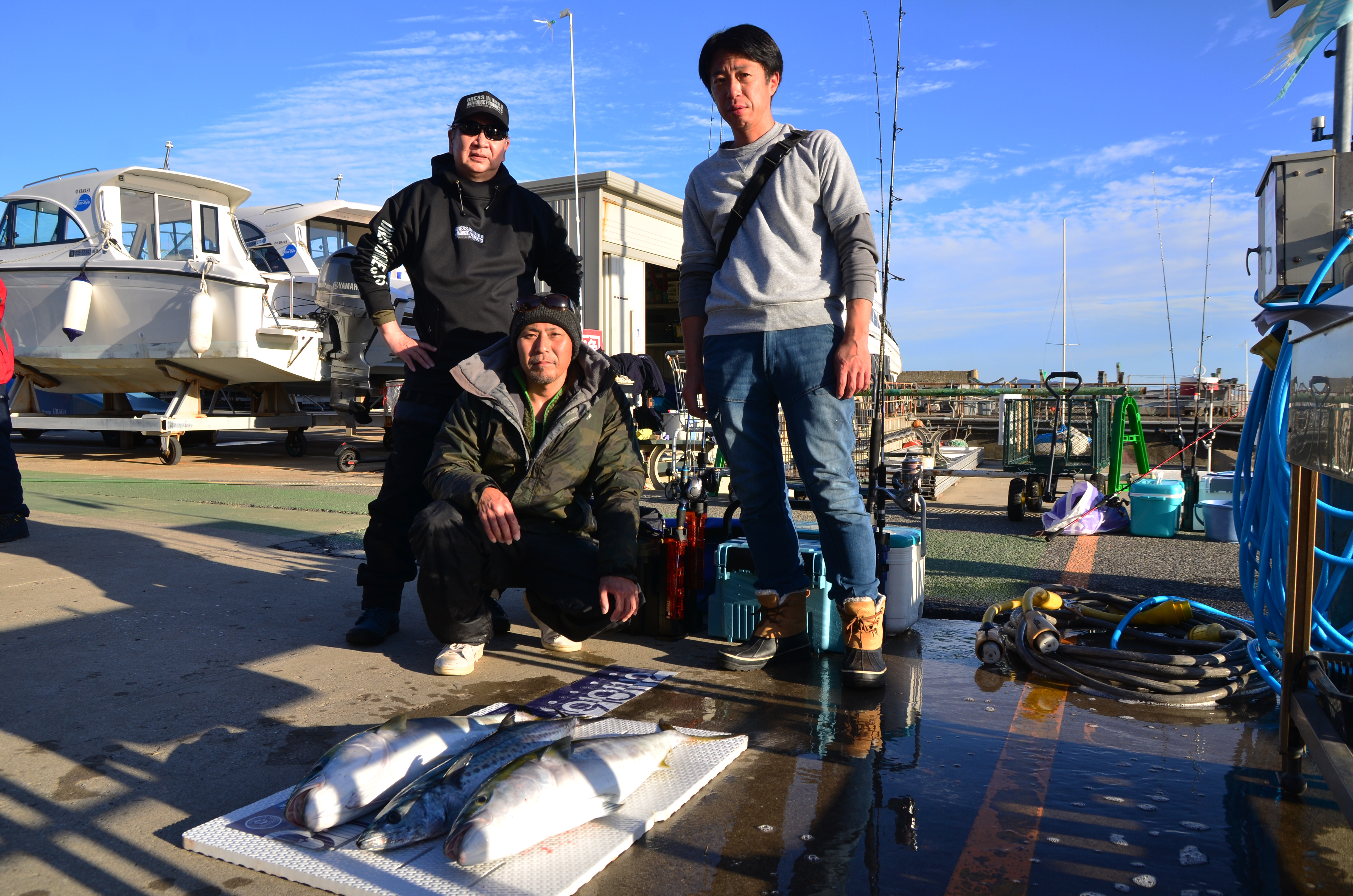 ✿ブリ・サワラ✿