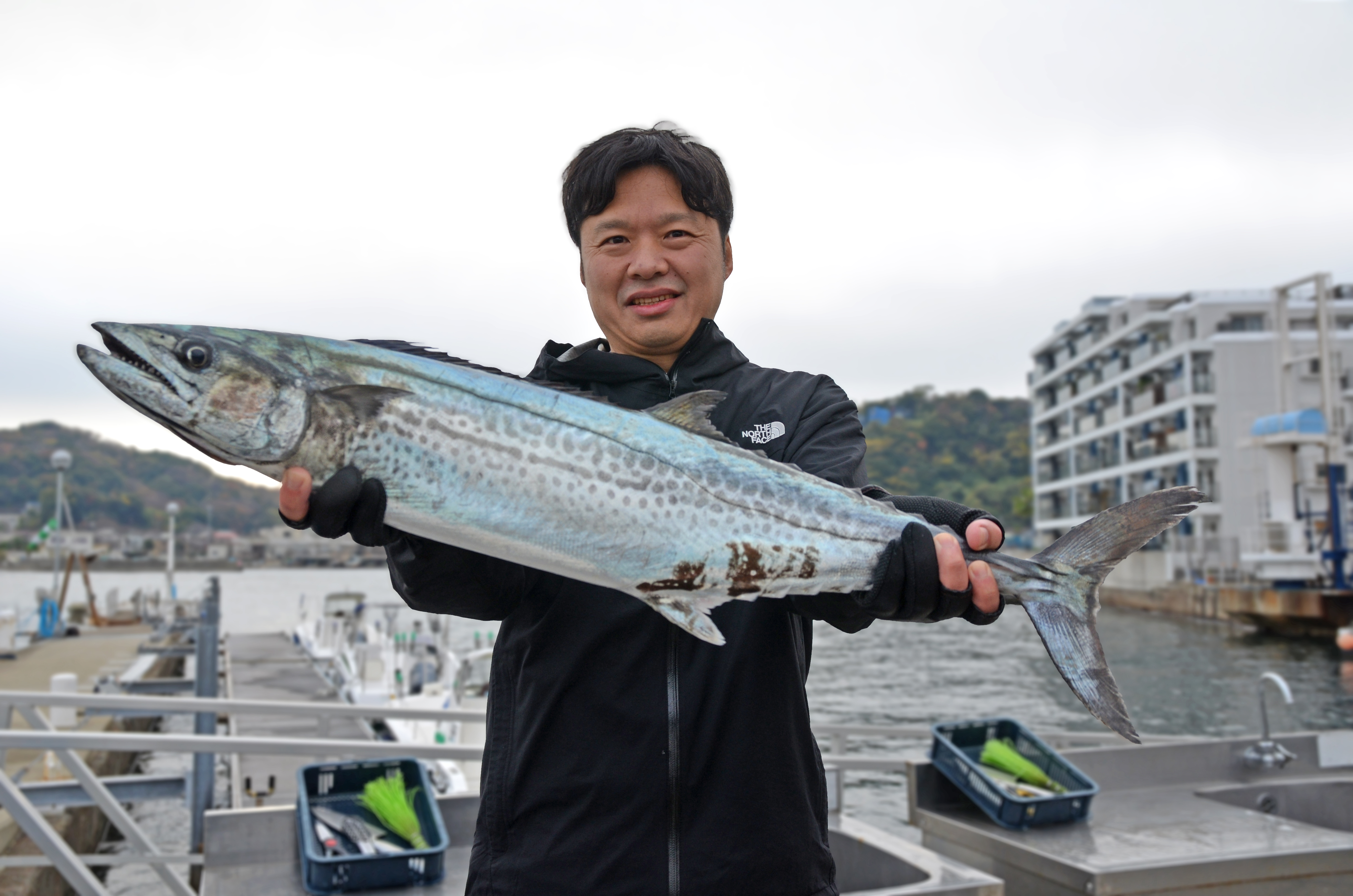 ✿サワラ・アジ✿