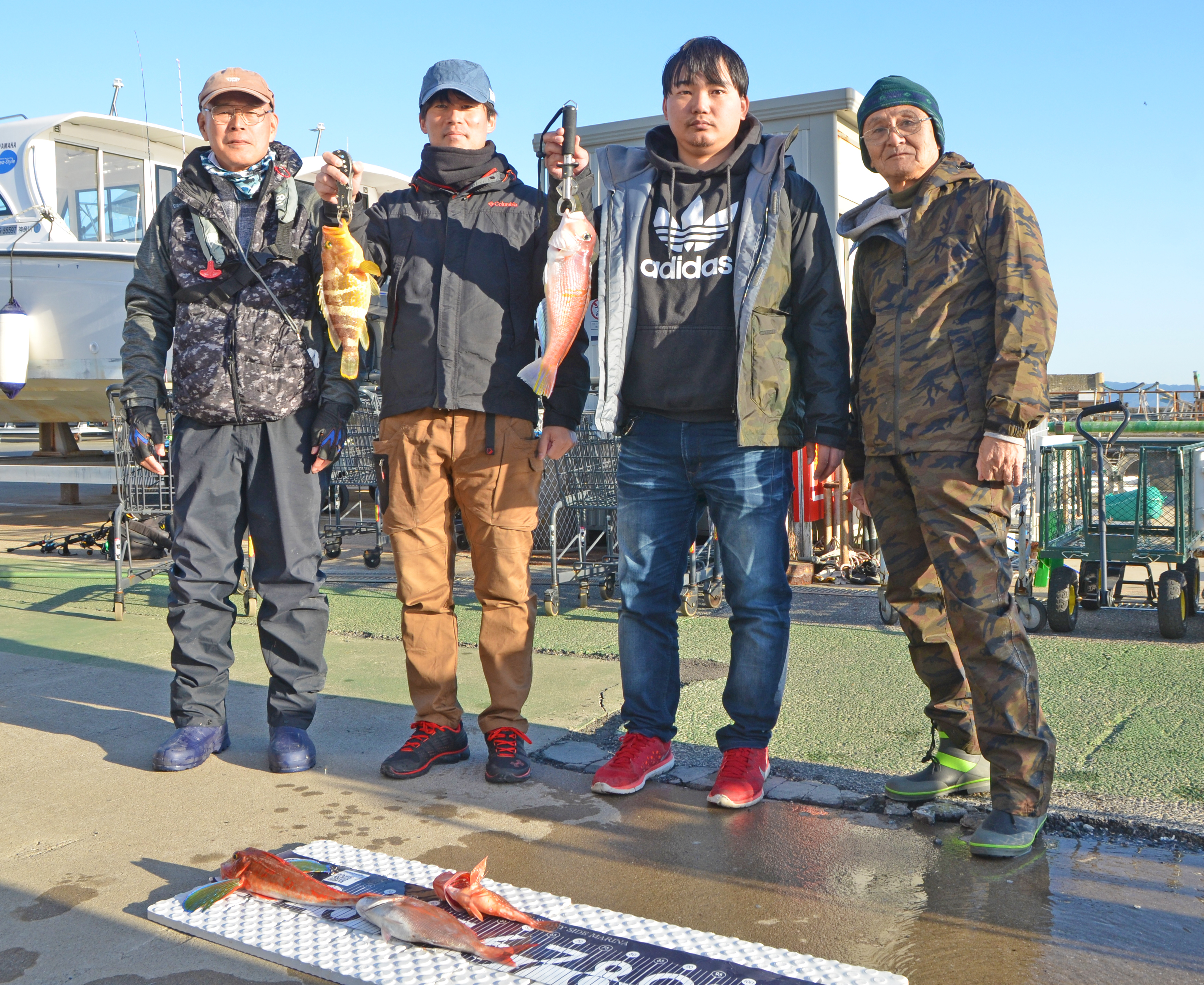 ✿アマダイ・アオハタ・ホウボウ・マダイ・ウッカリカサゴ✿