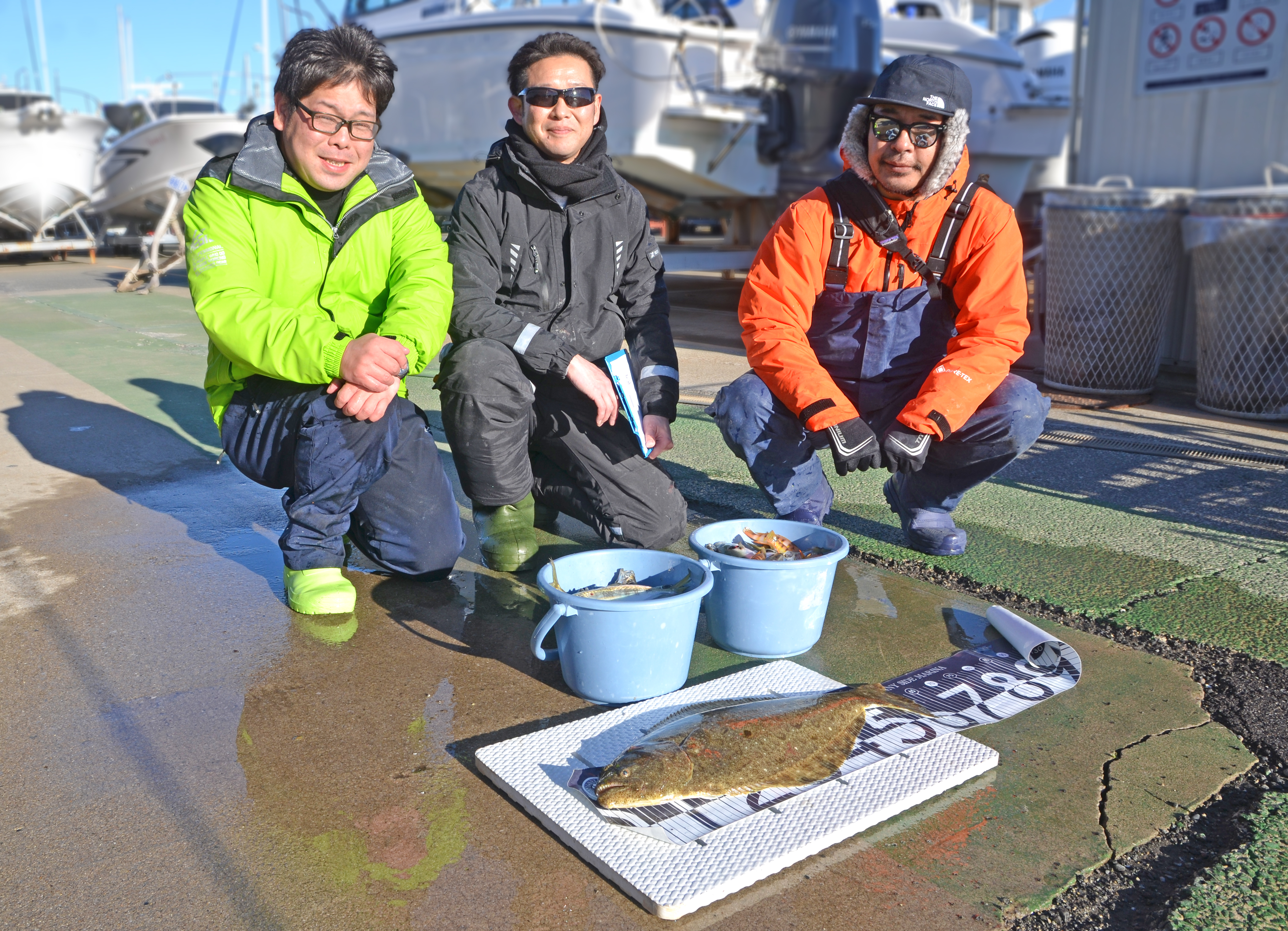 ✿ヒラメ・アジ・トラギス✿