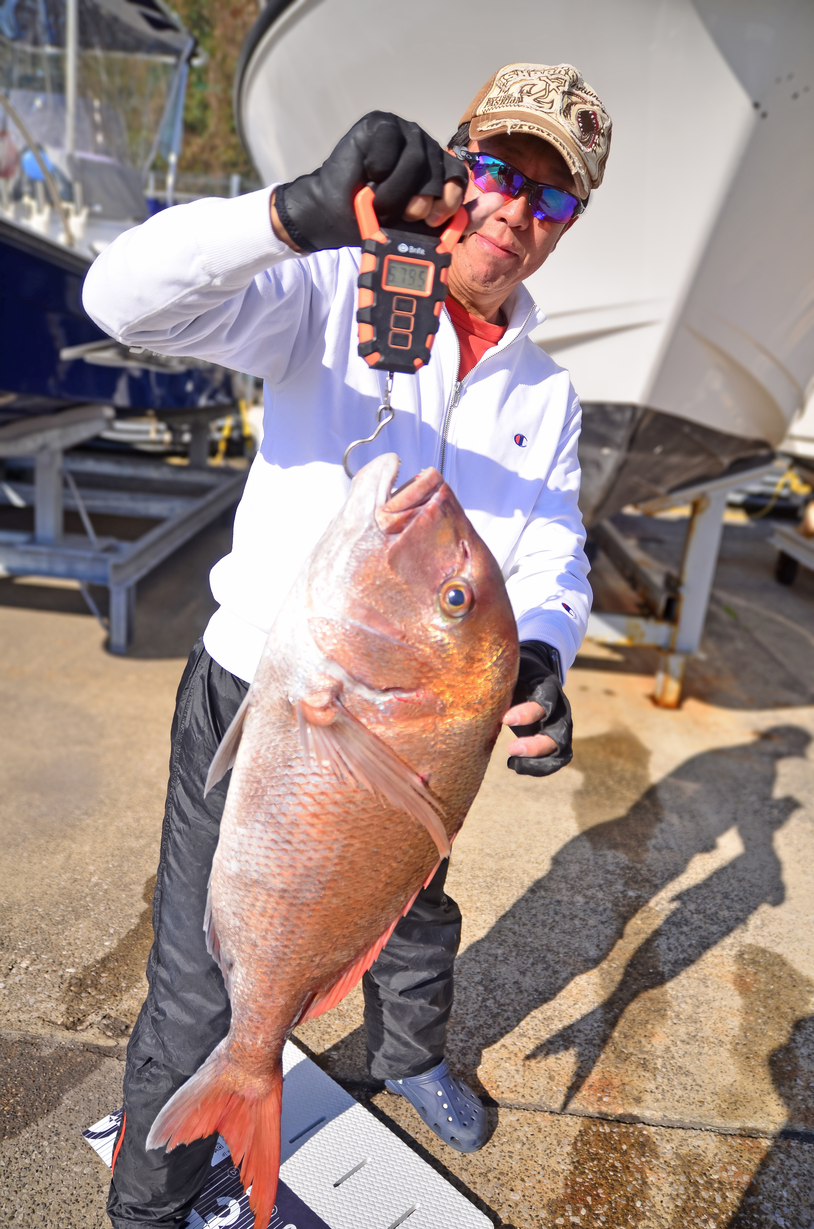 ✿マダイ・アジ✿