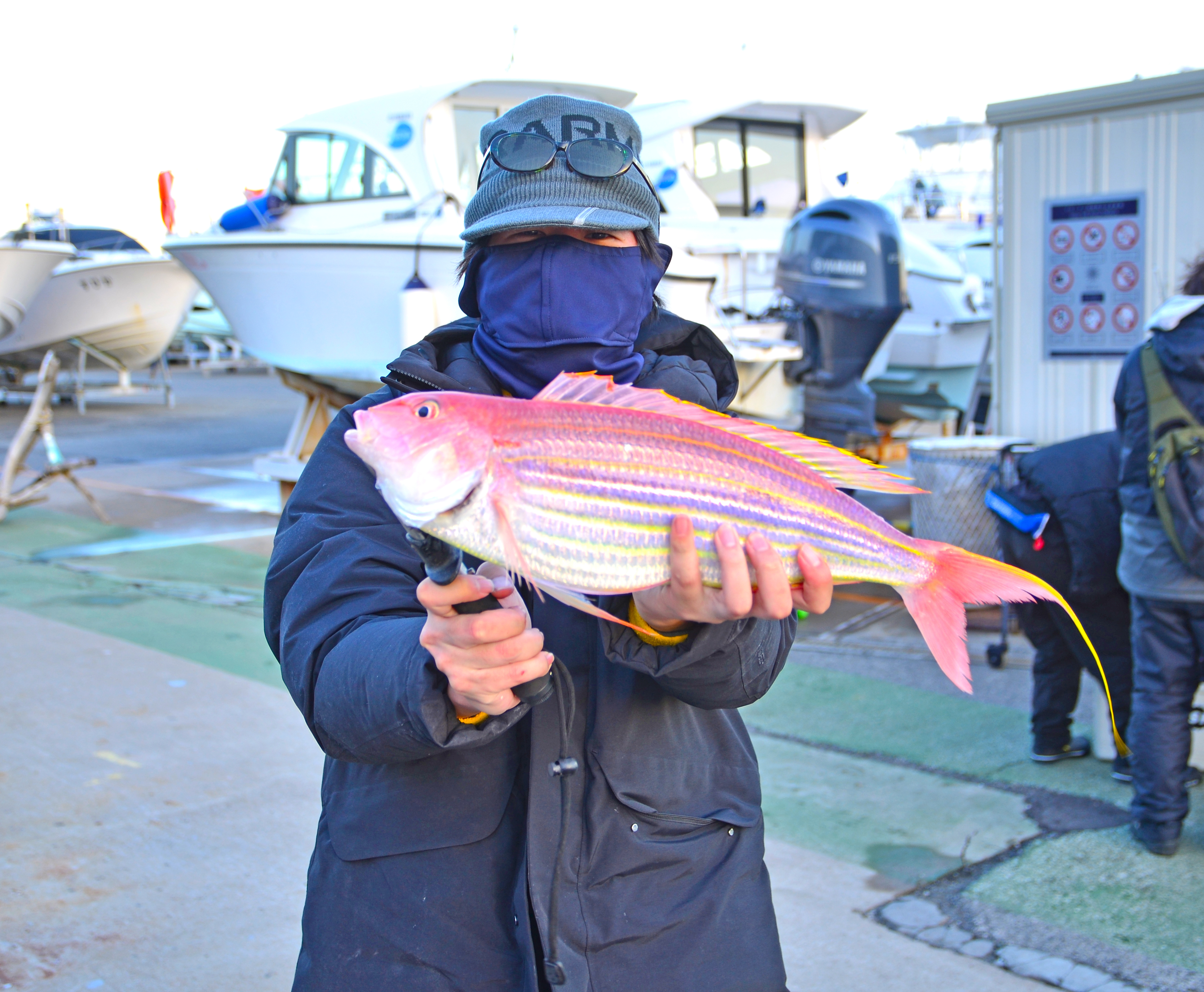 ✿イトヨリダイ・マダイ・ホウボウ・ウッカリカサゴ✿