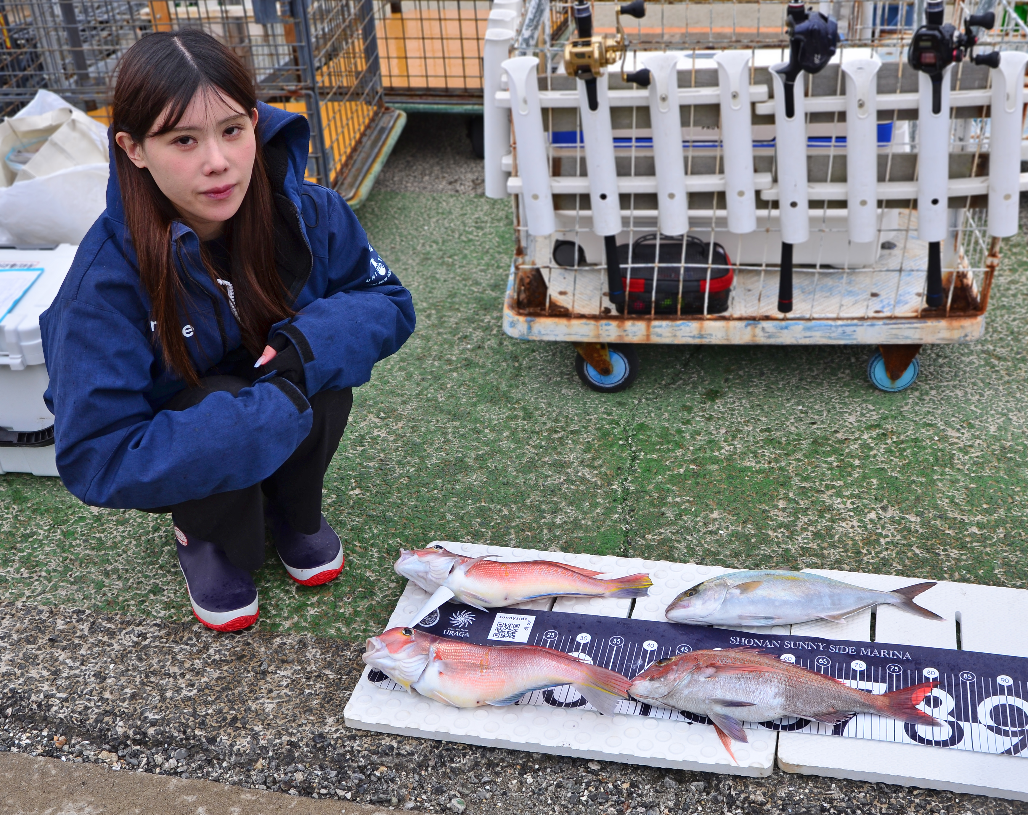 ✿アマダイ・マダイ・ショゴ✿