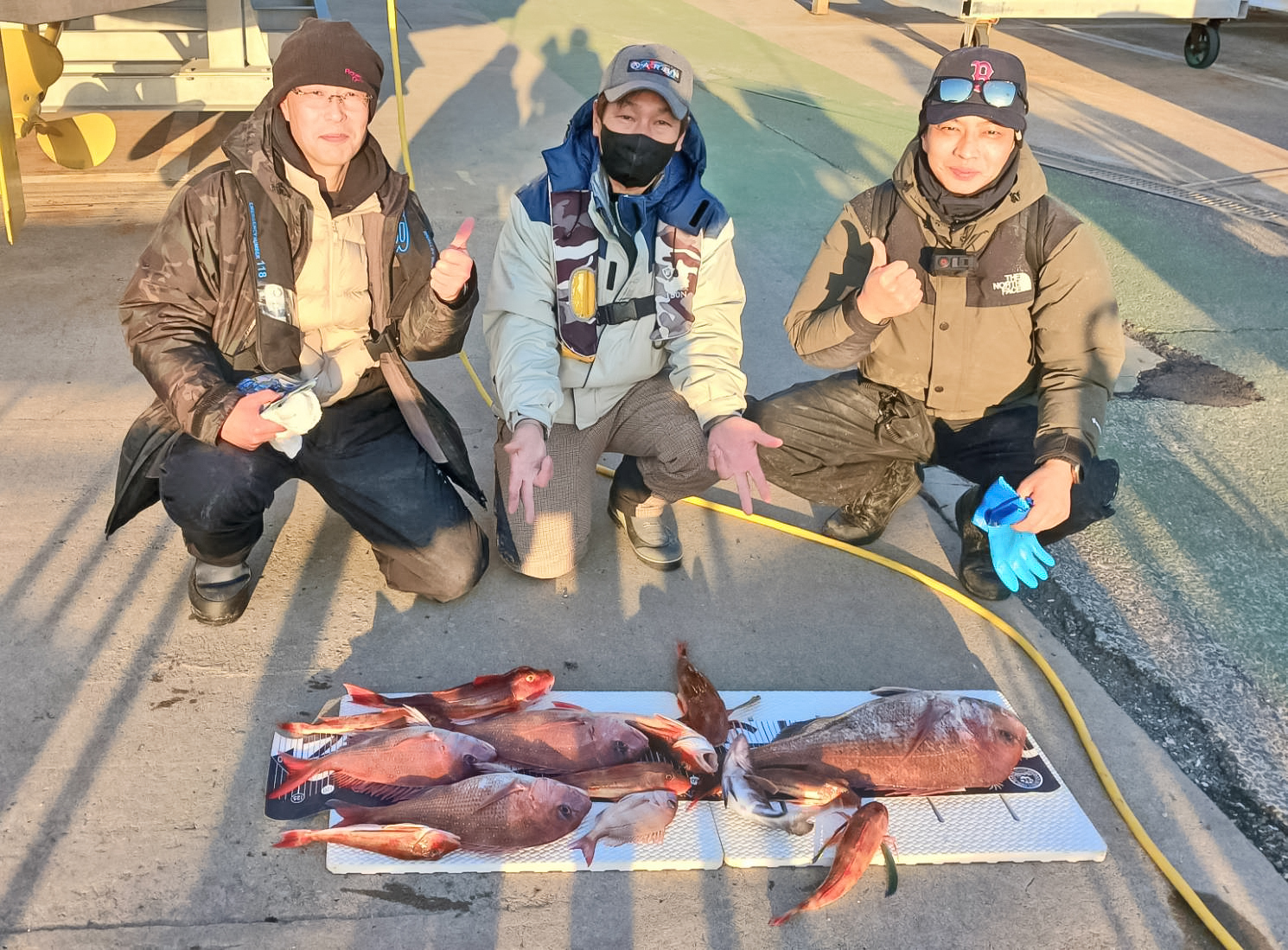 ✿マダイ・ハタ・ホウボウ✿