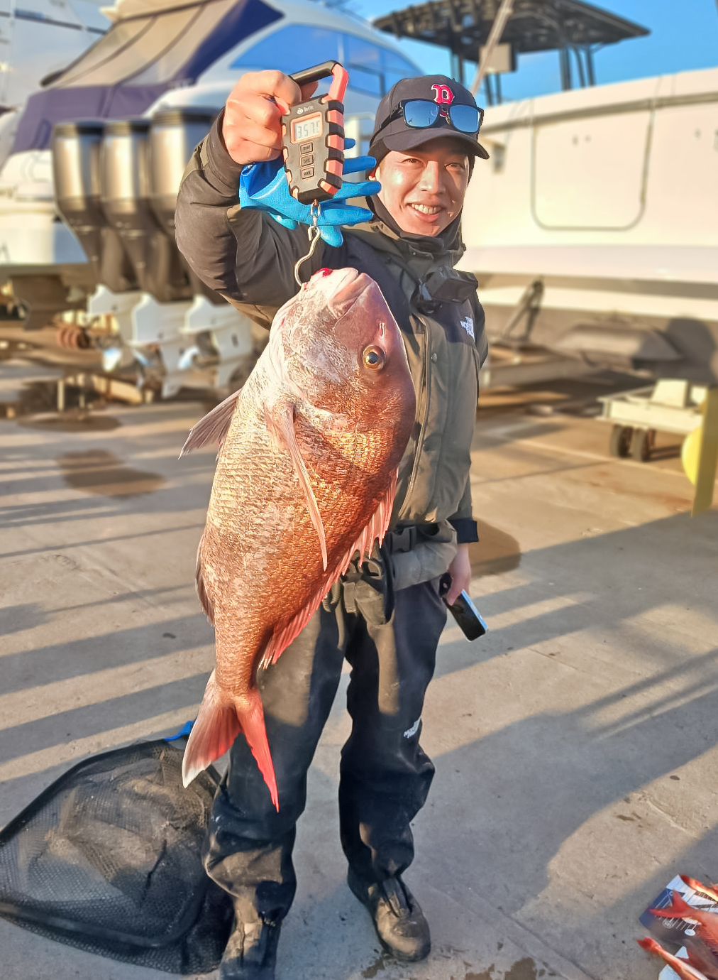 ✿マダイ・ハタ・ホウボウ✿