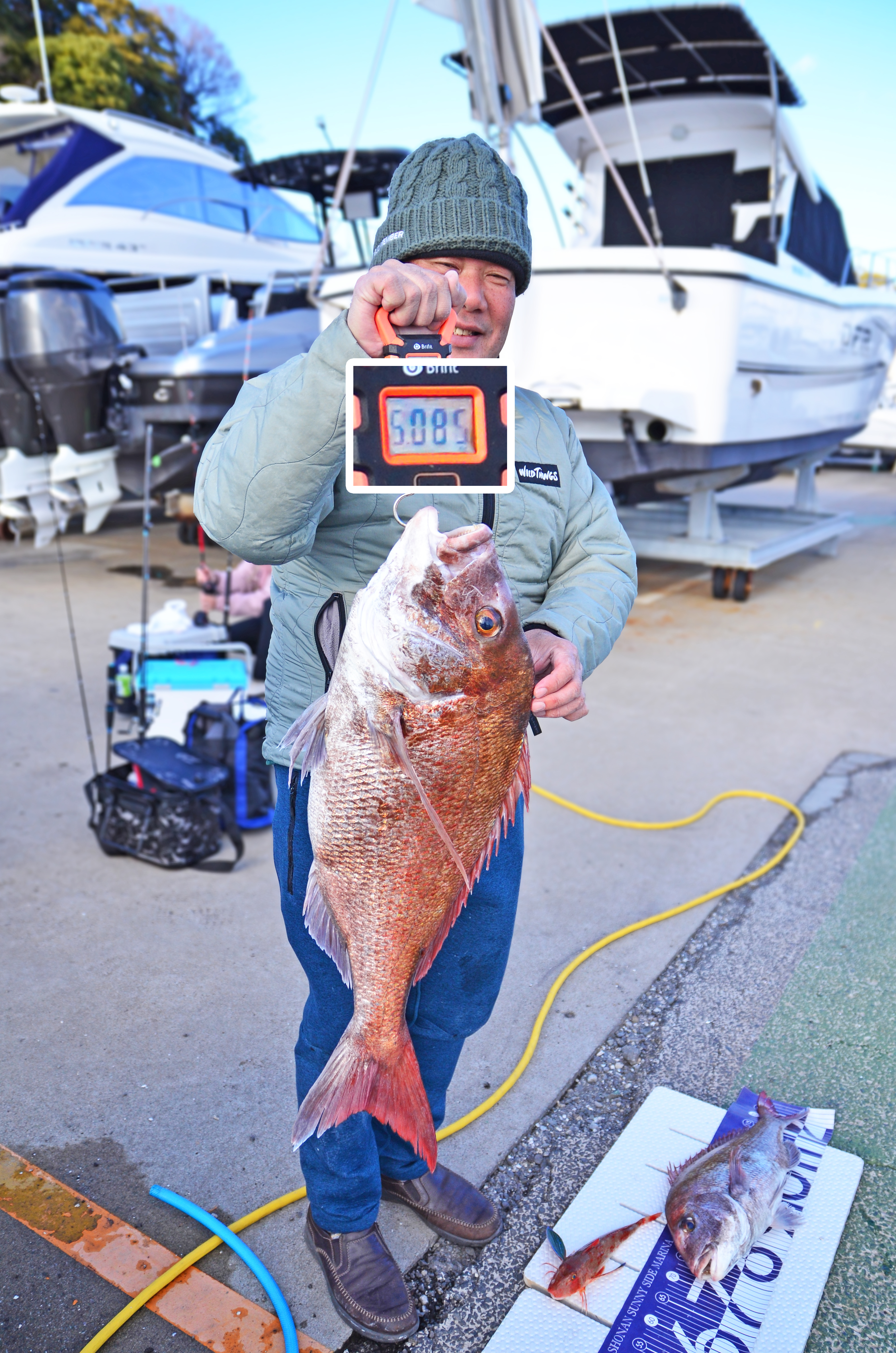 ✿マダイ・ホウボウ✿