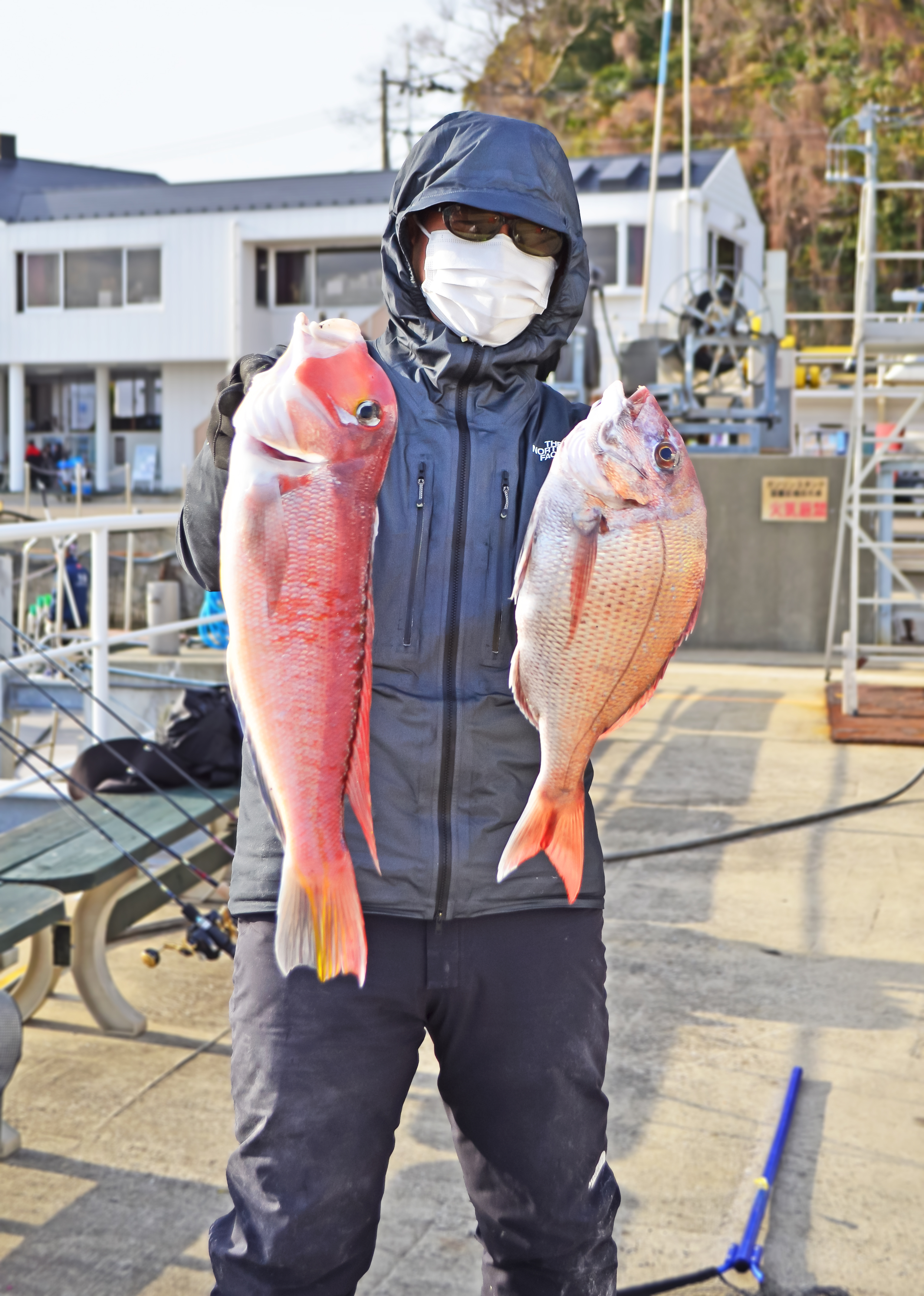 ✿マダイ・アマダイ・ホウボウ・ソコイトヨリ✿