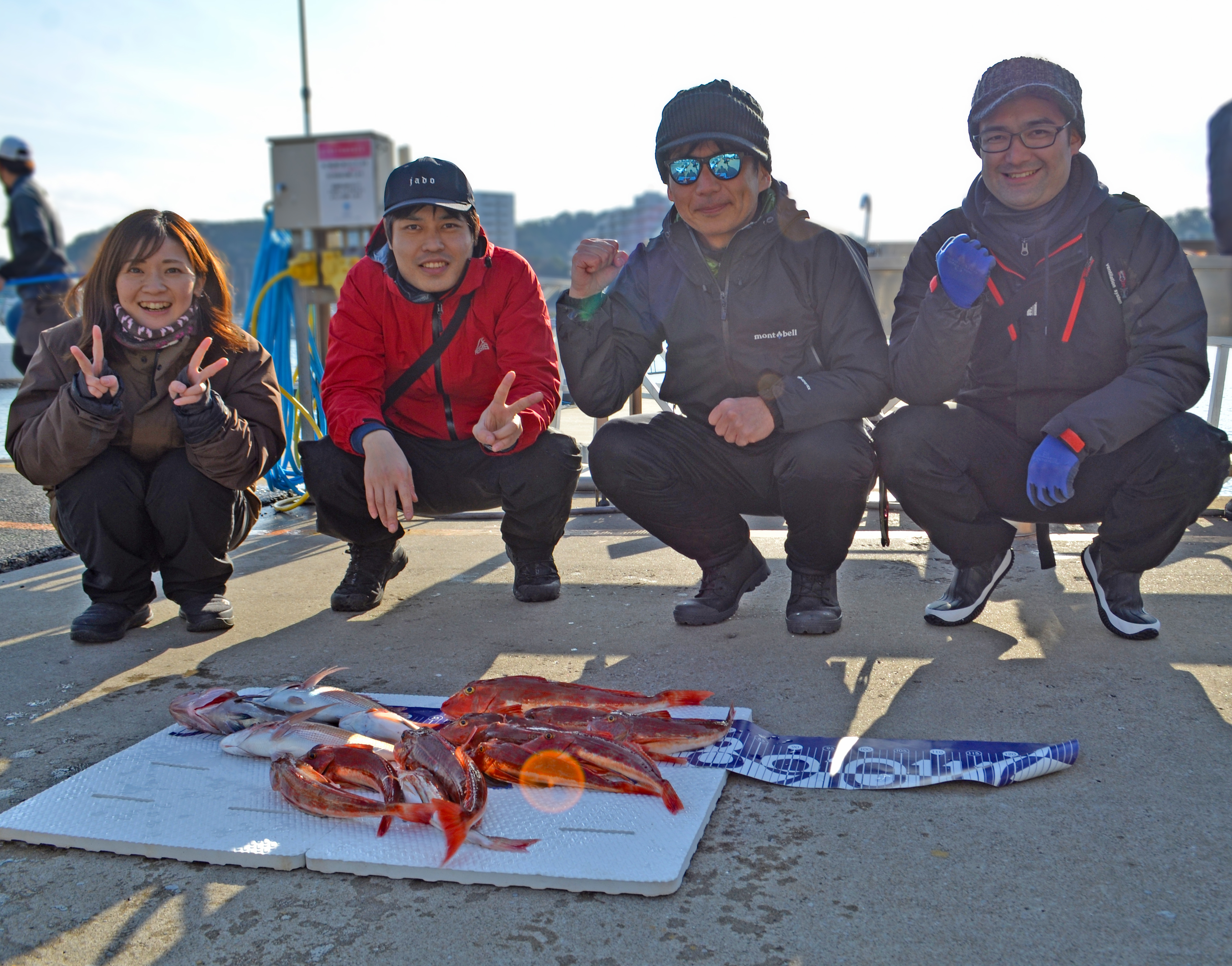 ✿ホウボウ・マダイ・マハタ✿