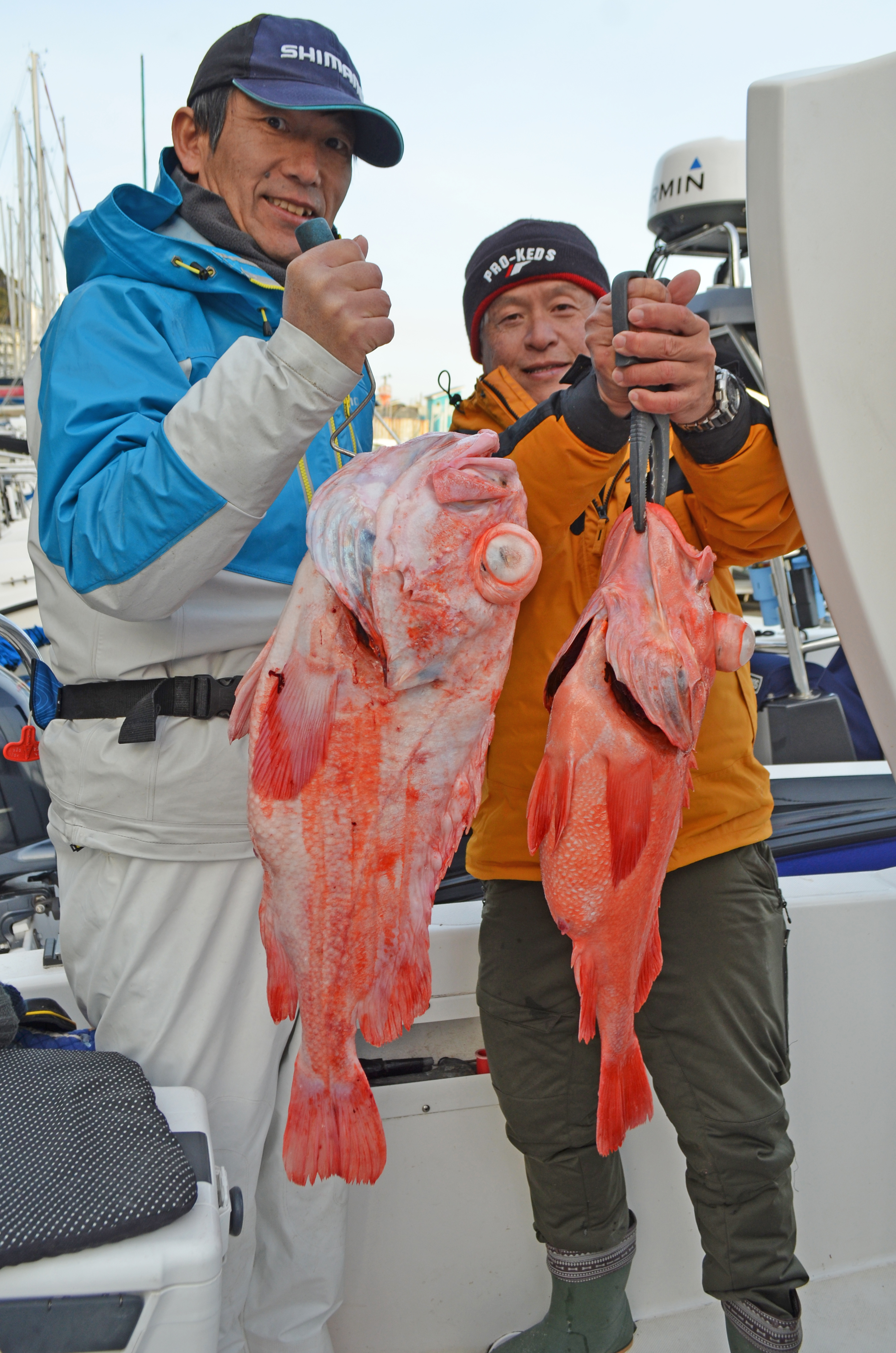 ✿アコウダイ(メヌケ)✿