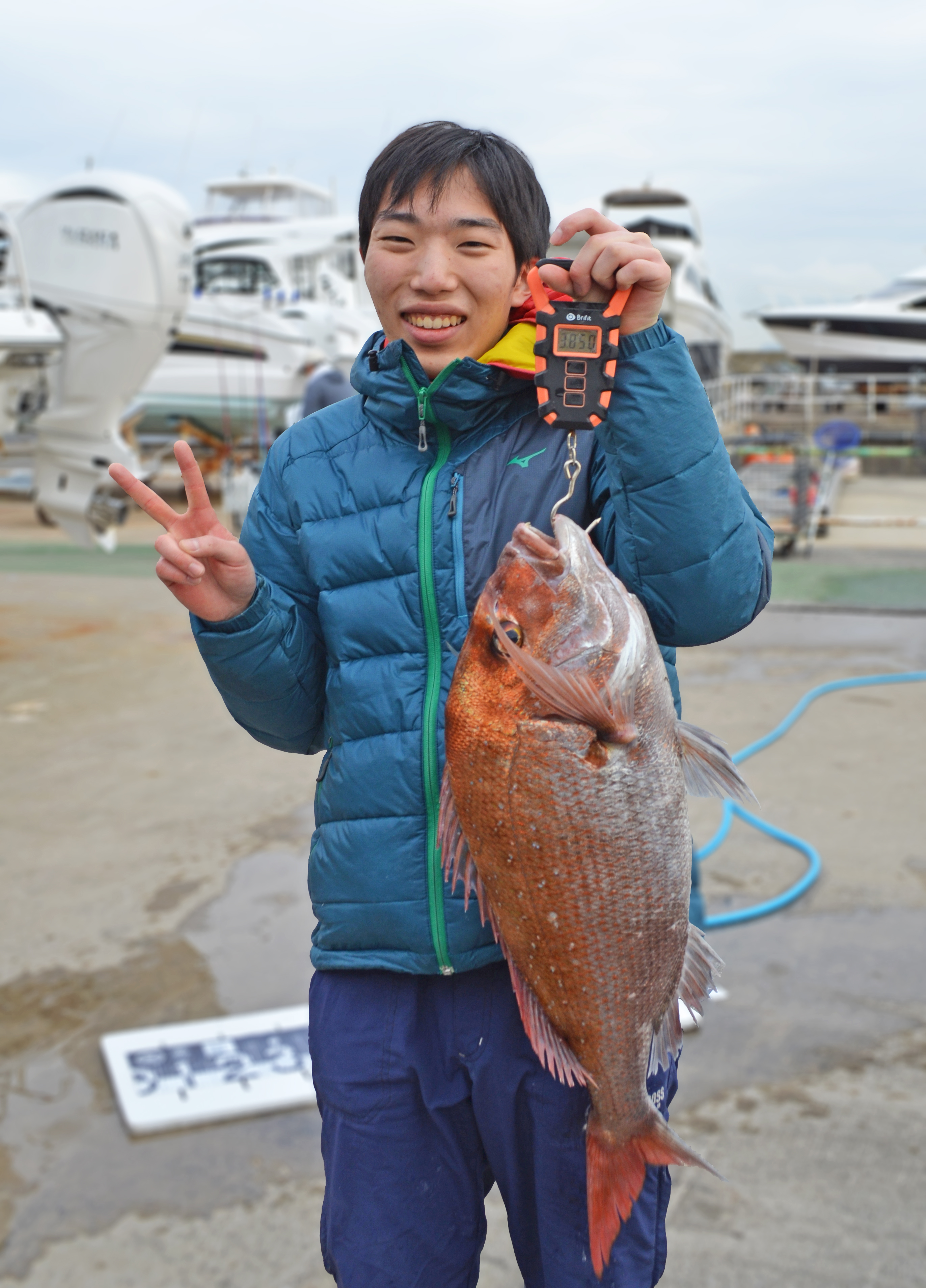 ✿マダイ・ホウボウ✿