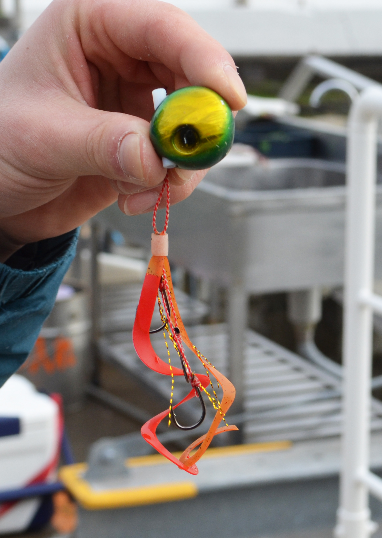 ✿マダイ・ホウボウ✿