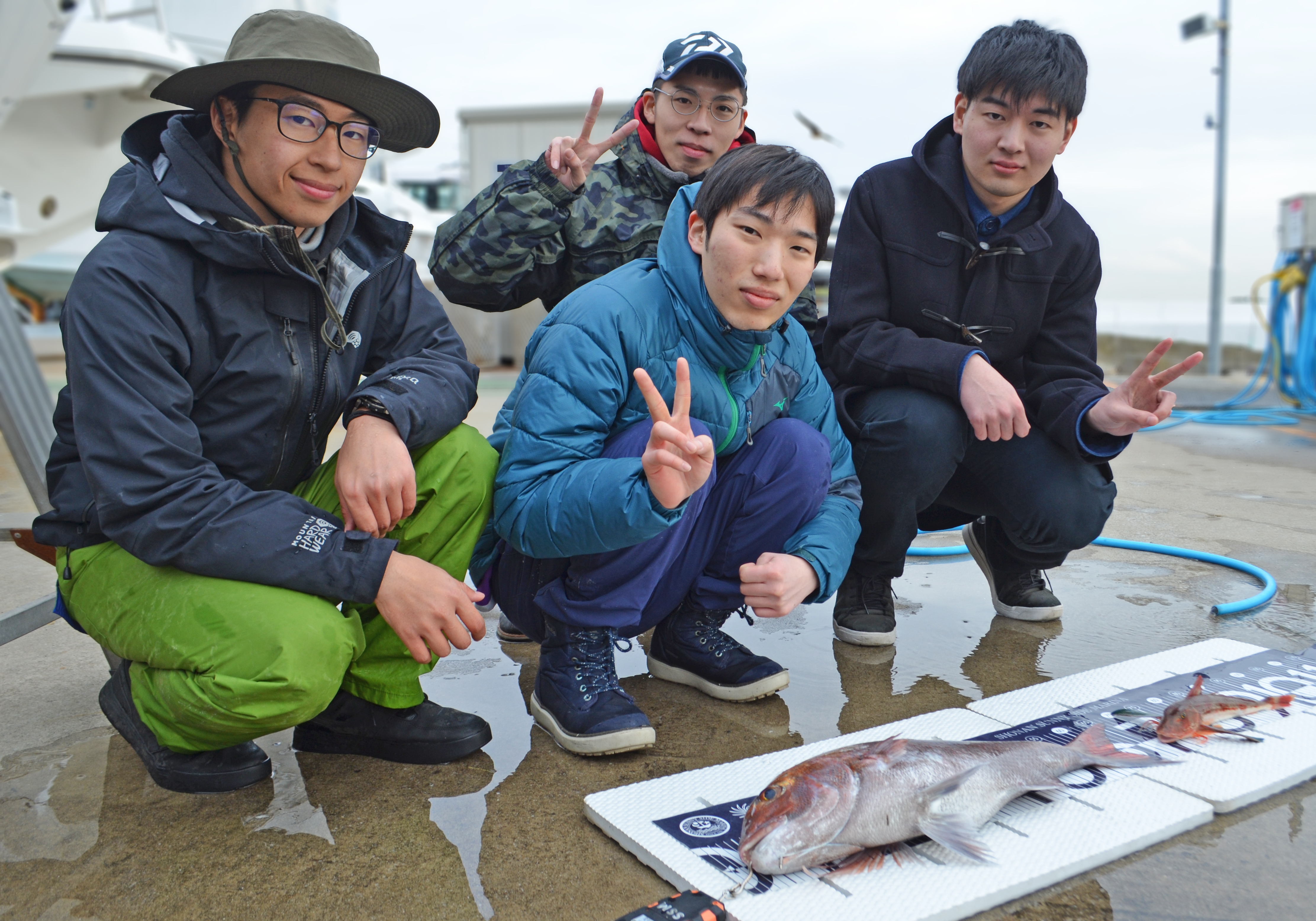 ✿マダイ・ホウボウ✿