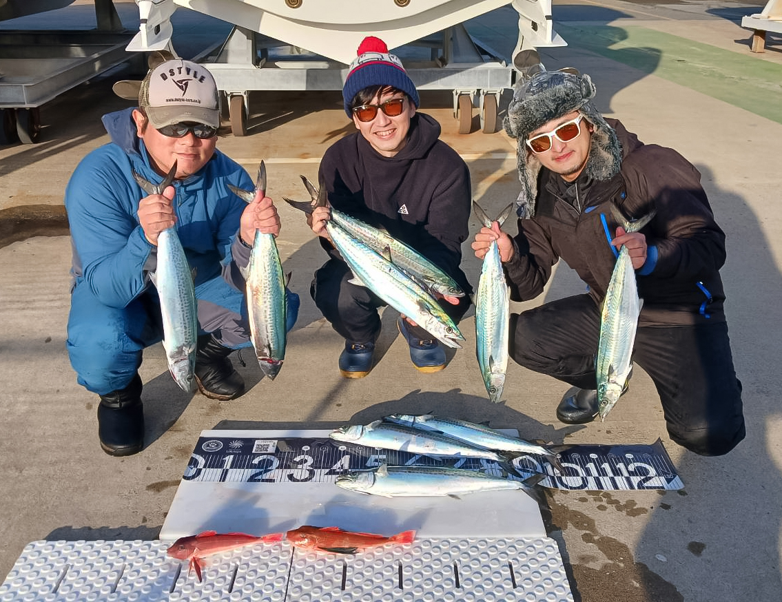 ✿サワラ・ホウボウ✿