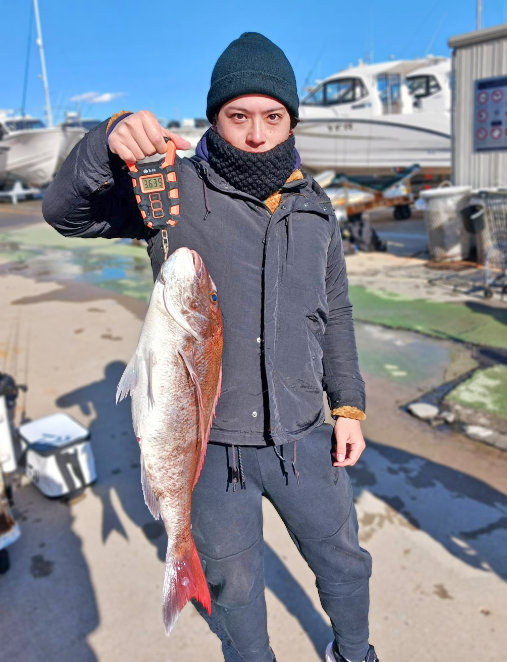 ✿マダイ・ホウボウ✿