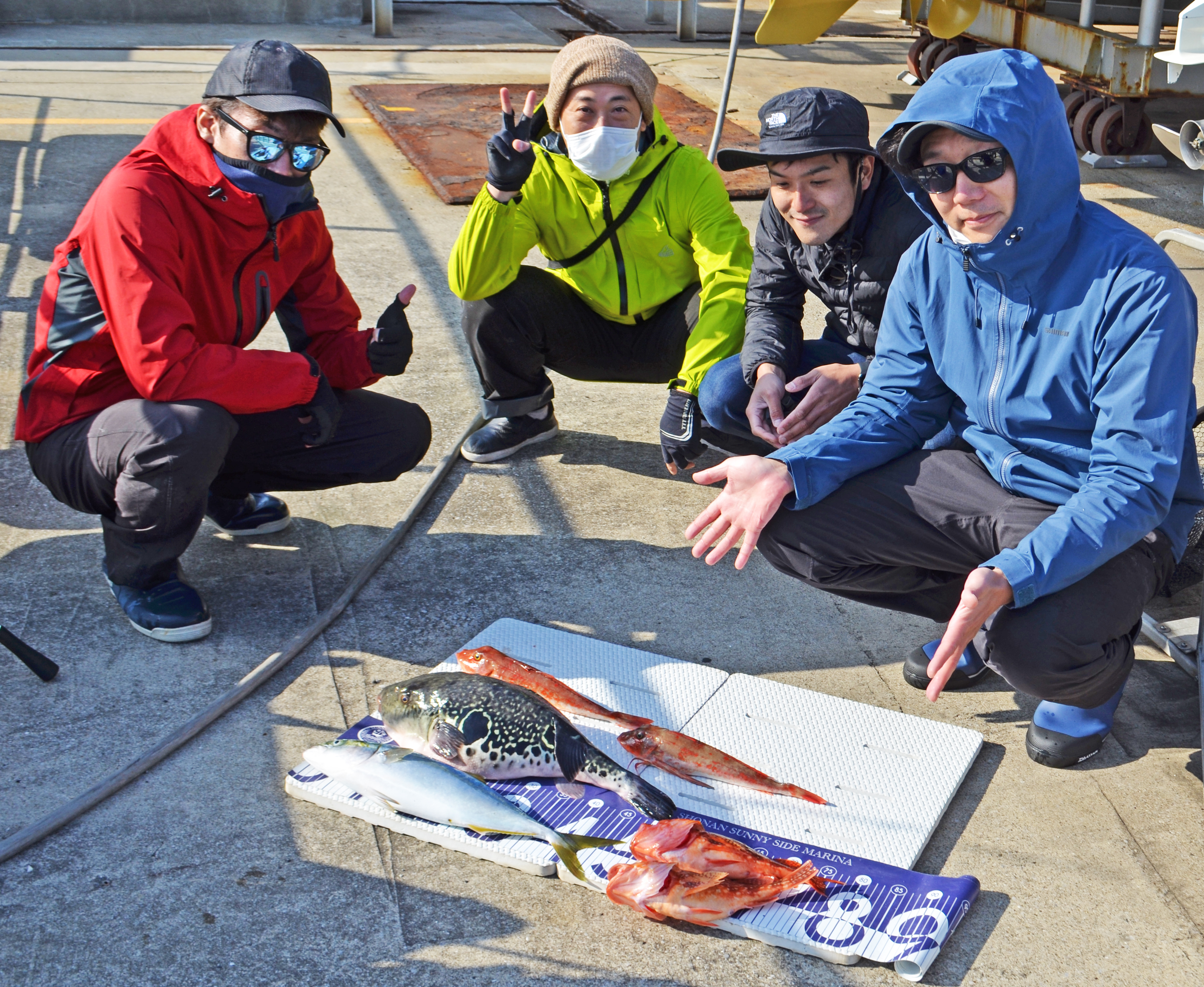 ✿トラフグ・イナダ・ホウボウ・ウッカリカサゴ✿