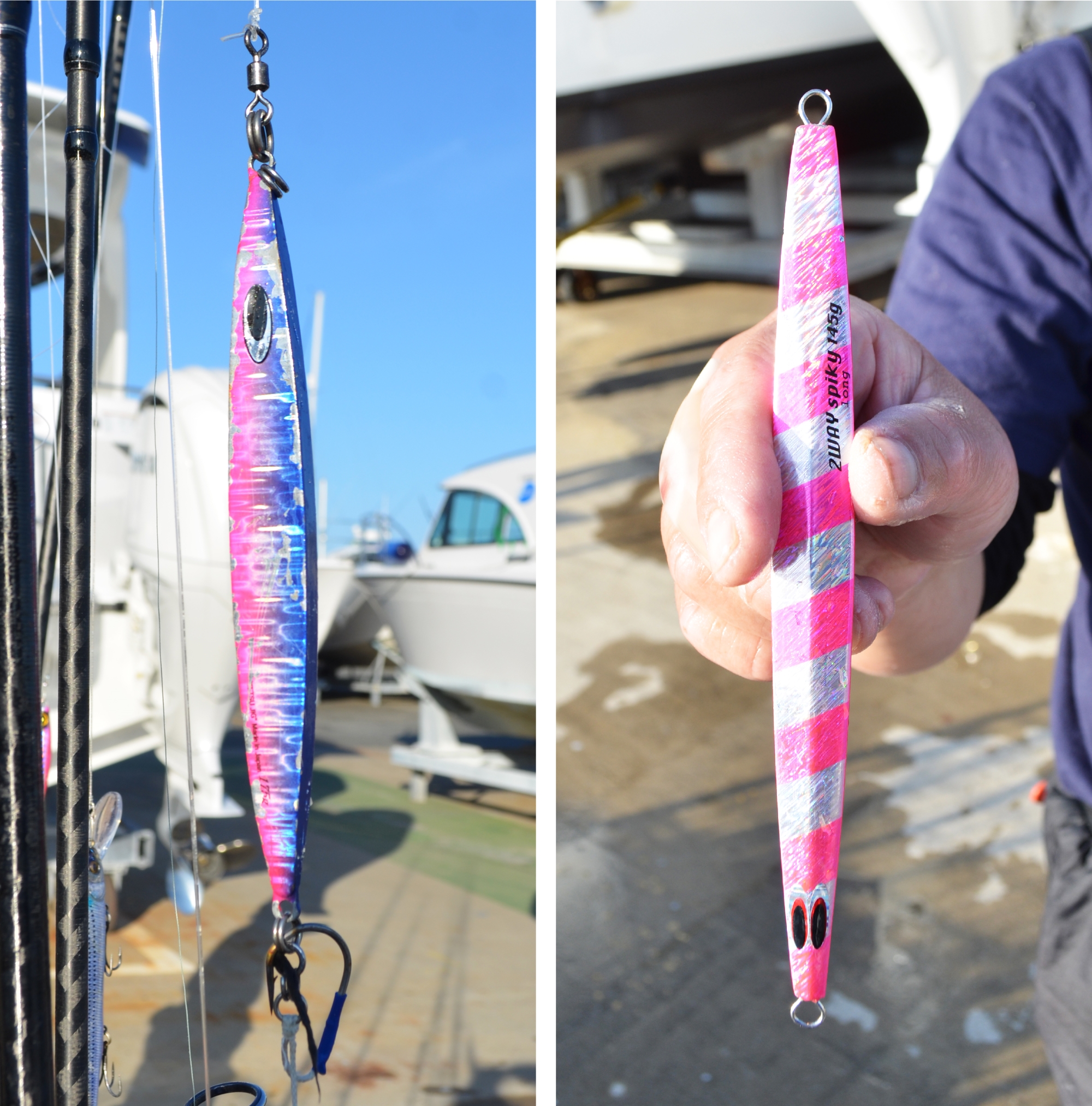 ✿サワラ・マダイ✿